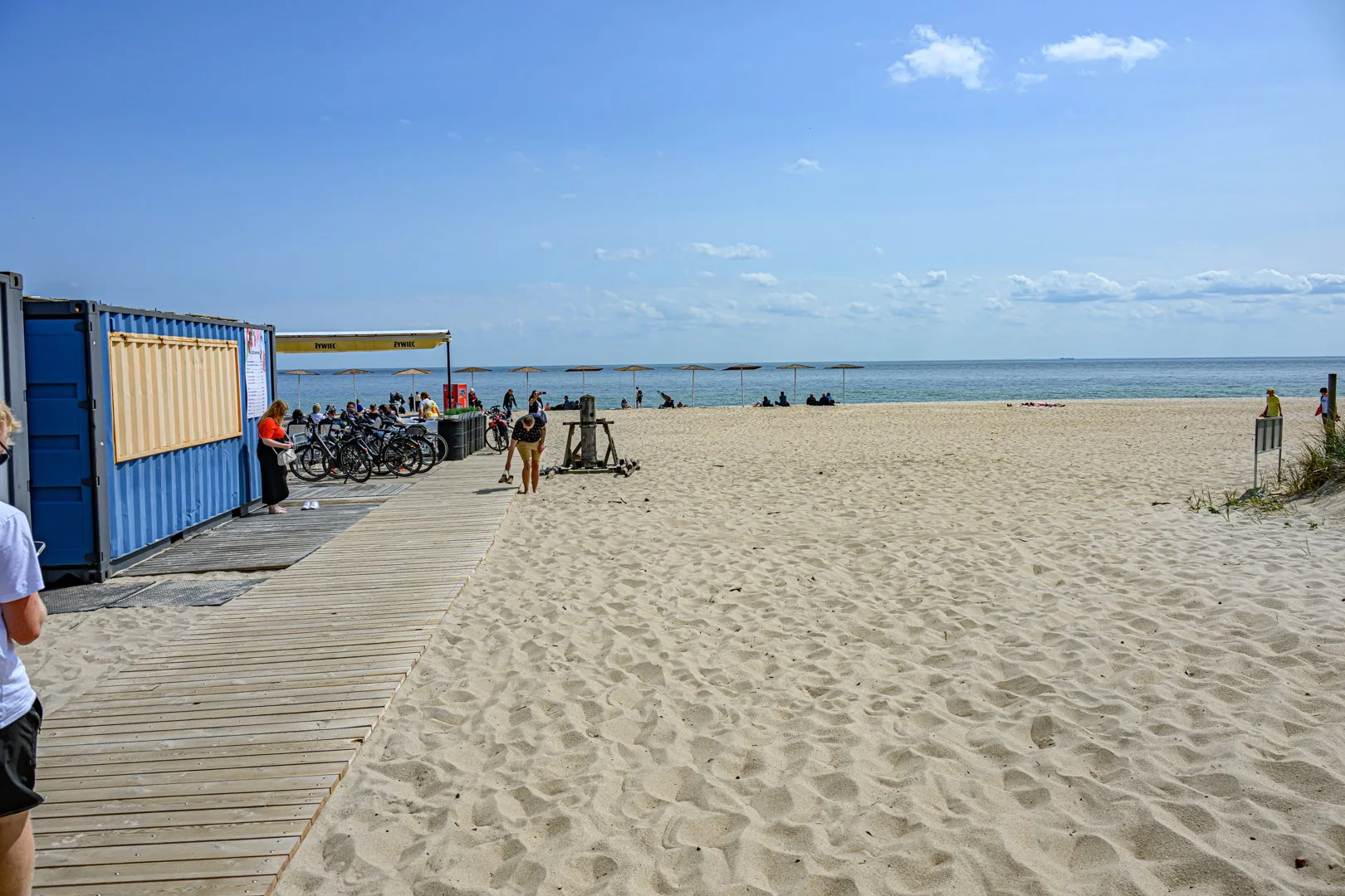 untitled (230 of 274).jpg