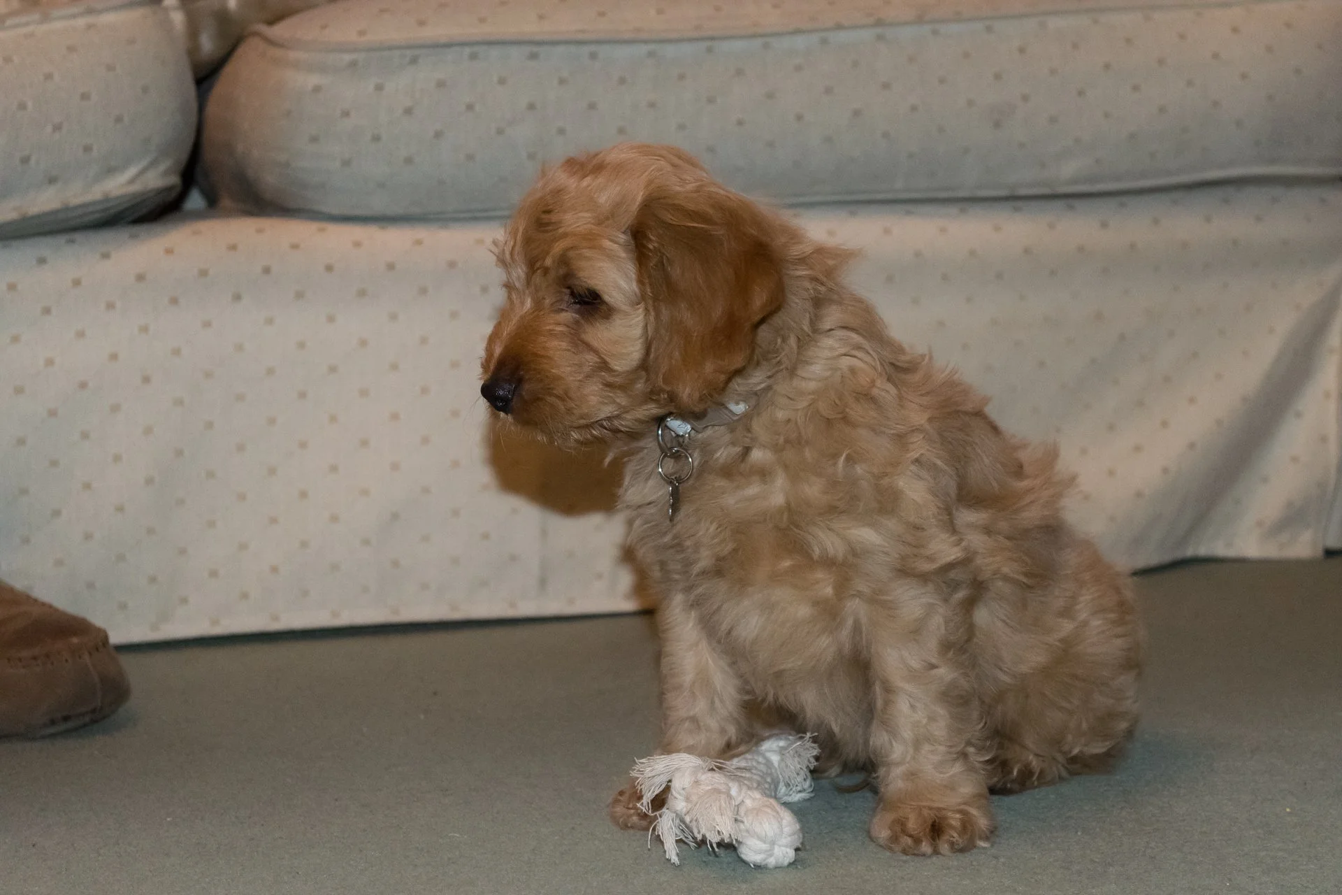 At home for the first time.