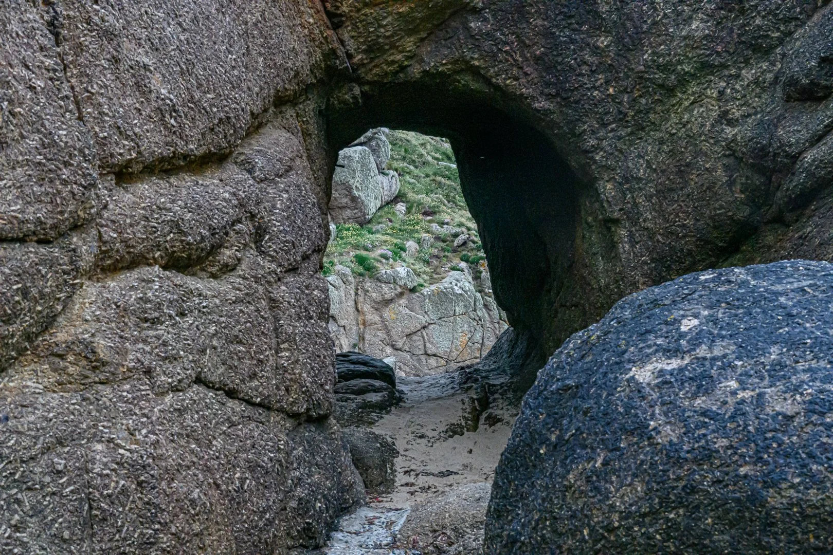 untitled (52 of 59).jpg