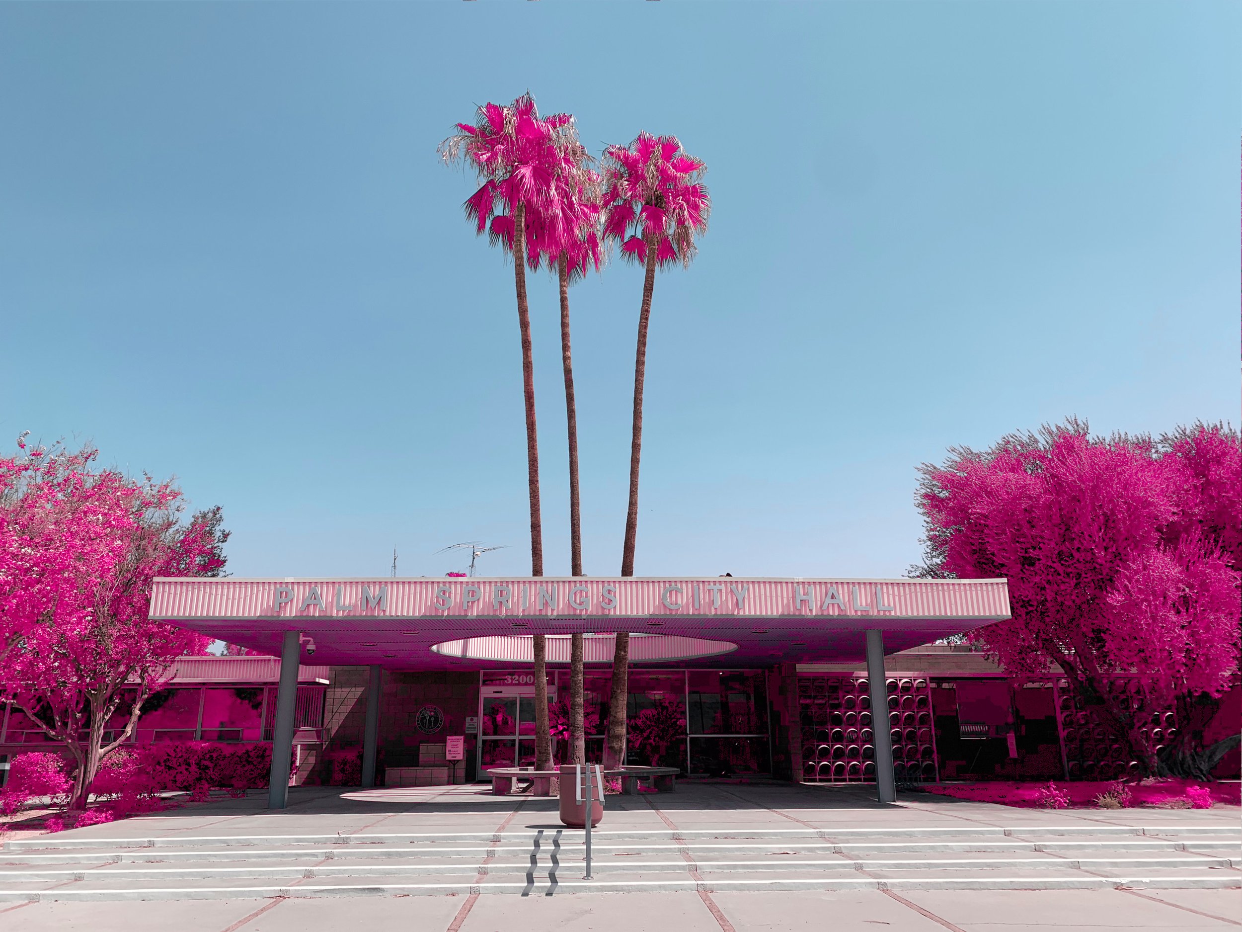 False Paradise