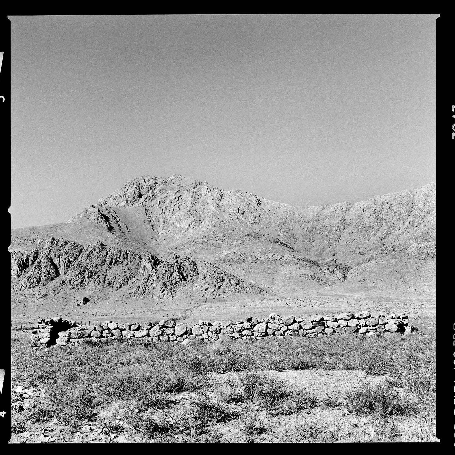 CHASTITY OF THE LAND4.jpg