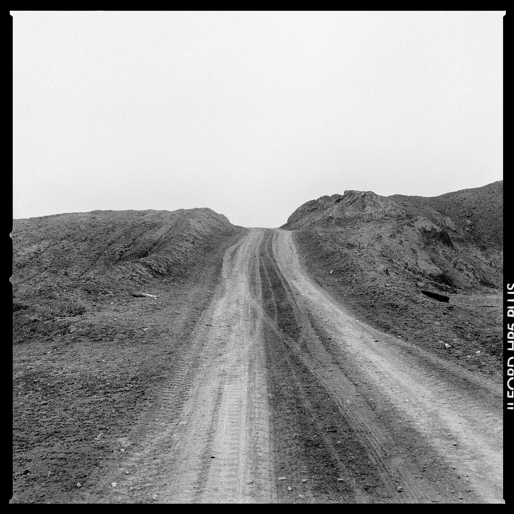 CHASTITY OF THE LAND14.jpg
