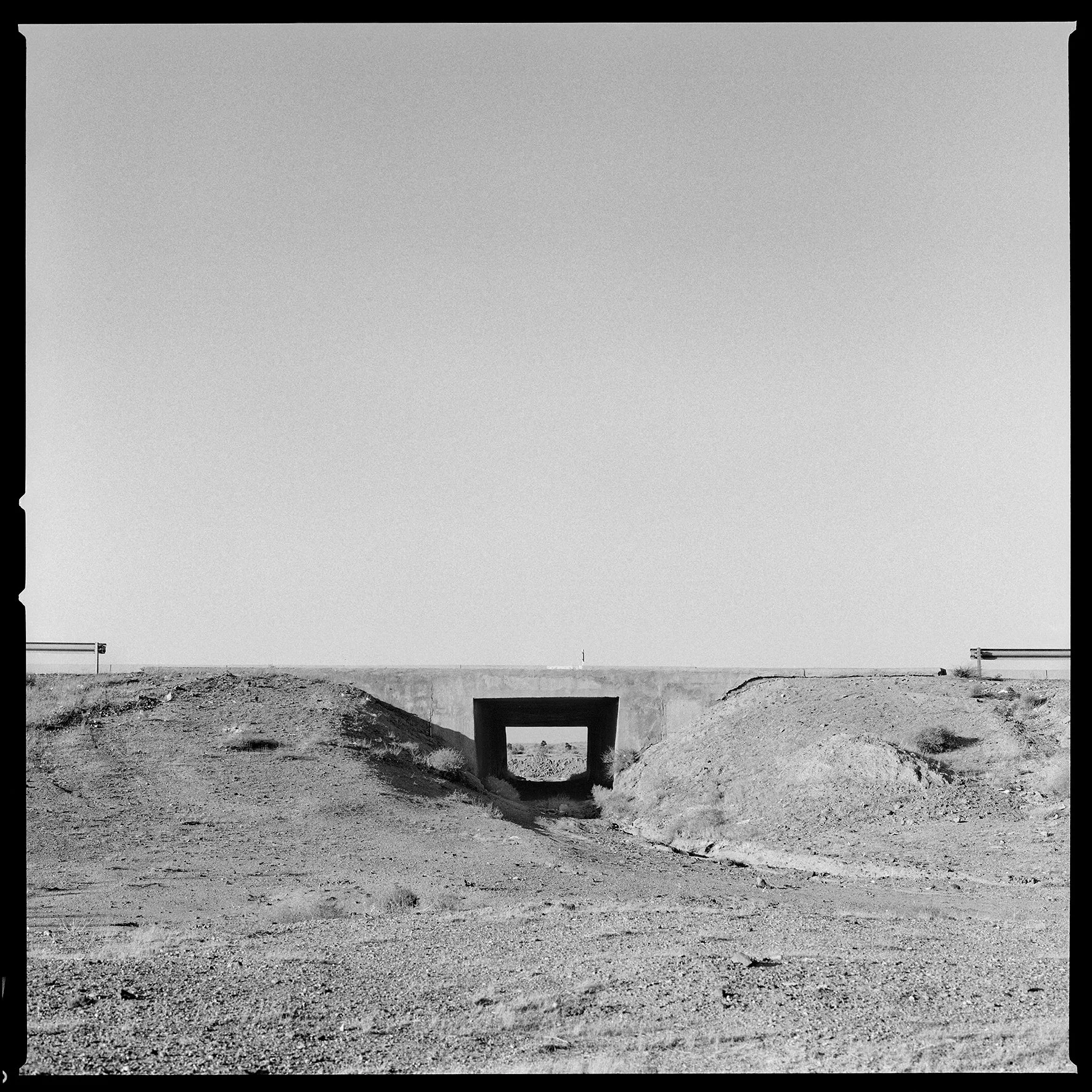 CHASTITY OF THE LAND9.jpg