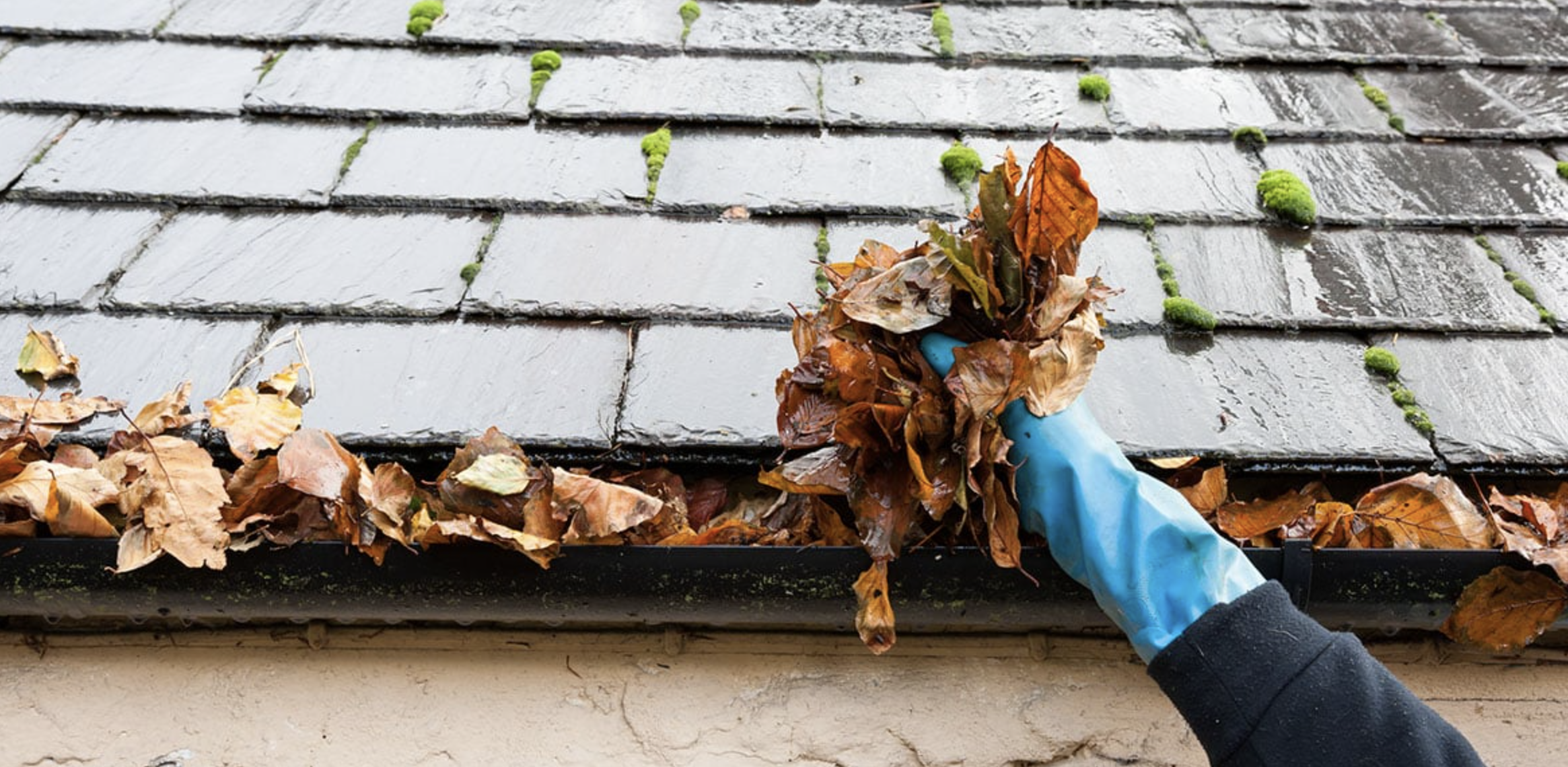 Understanding the Long-Term Costs of Owning a Home in Portland