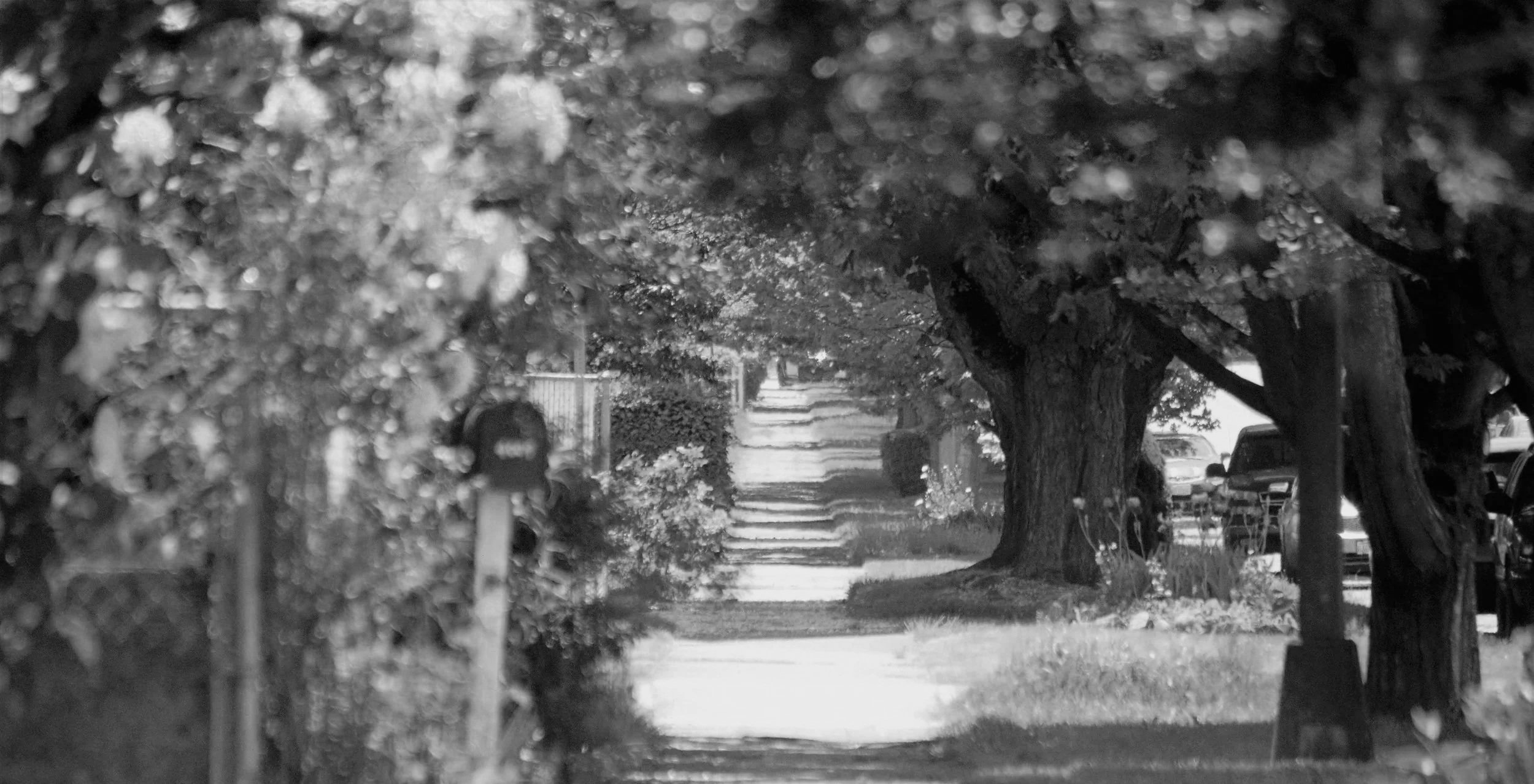 Tree-lined residential sidewalk with mailboxes and shaded neighborhood walkway