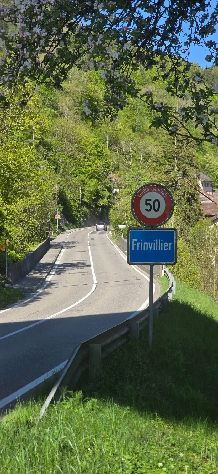 Droga wjazdowa do Frinvillier ze znakiem ograniczenia prędkości do 50 km/h i kwitnącymi drzewami.