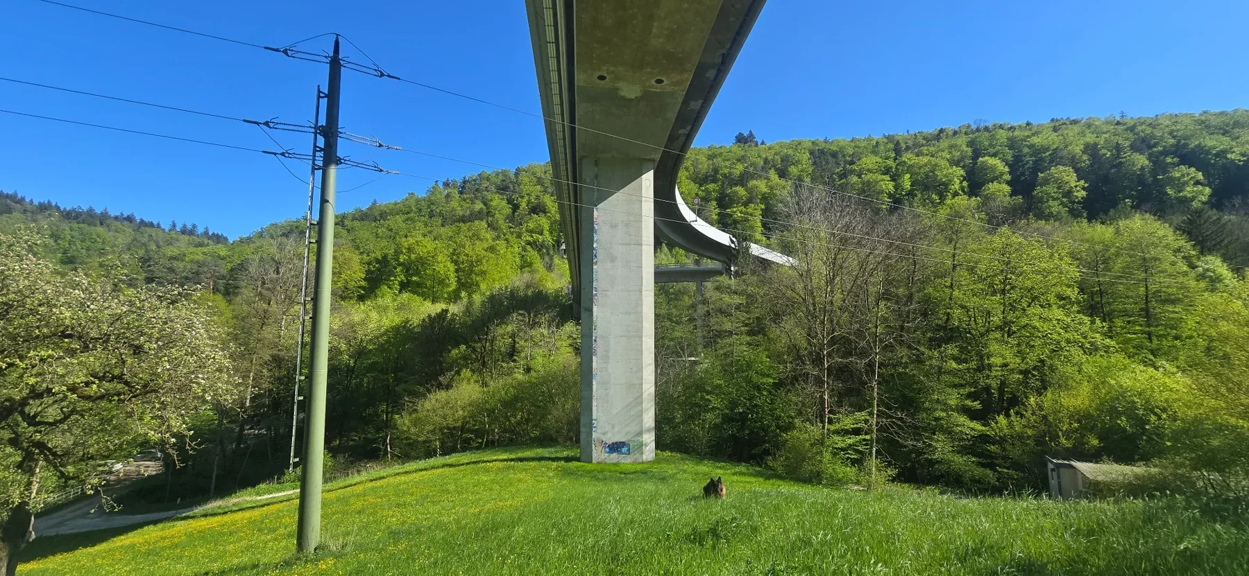 Wiadukt autostrady na tle zielonych wzgórz w okolicach Frinvillier
