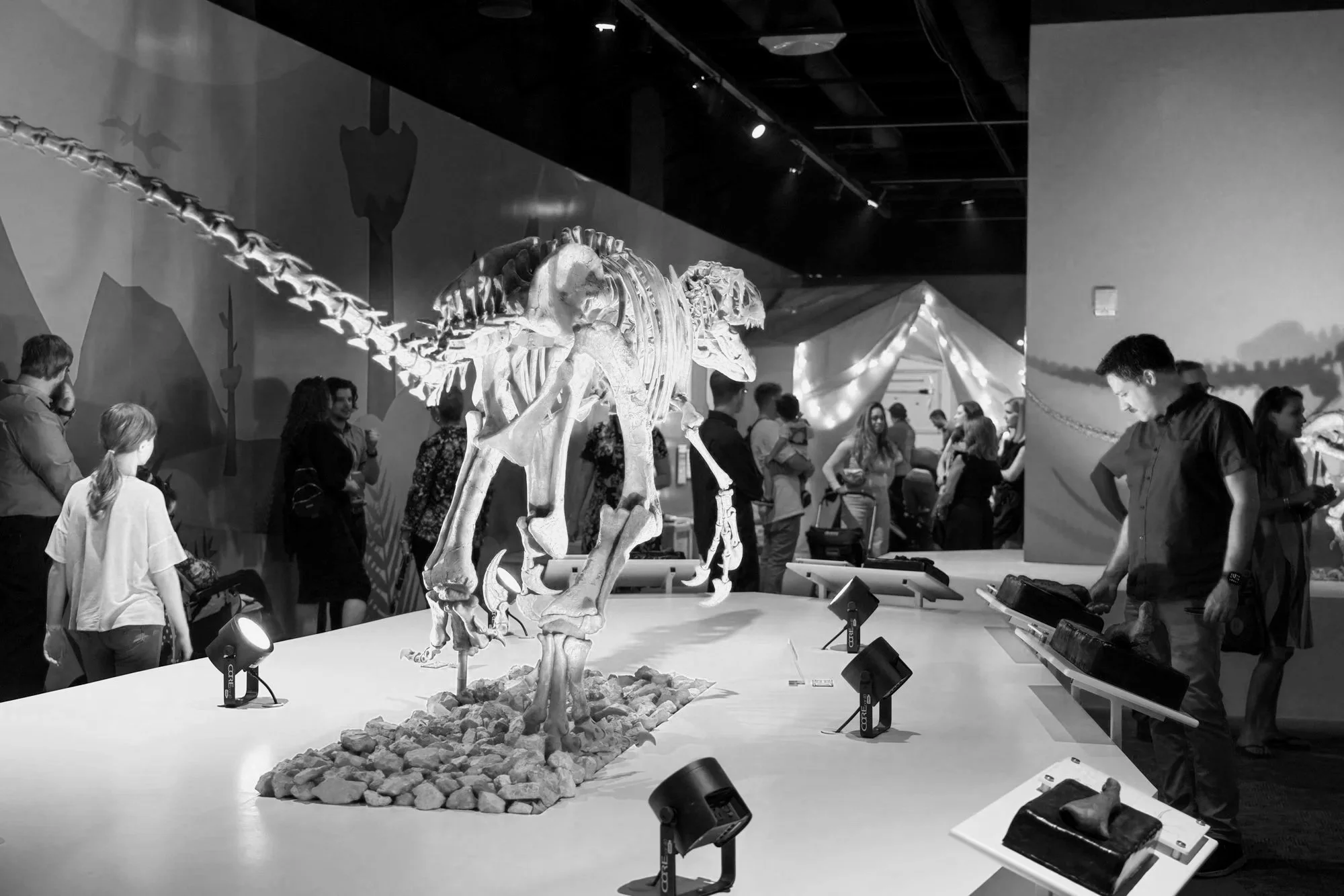 Paleo-Opening-038.jpg
