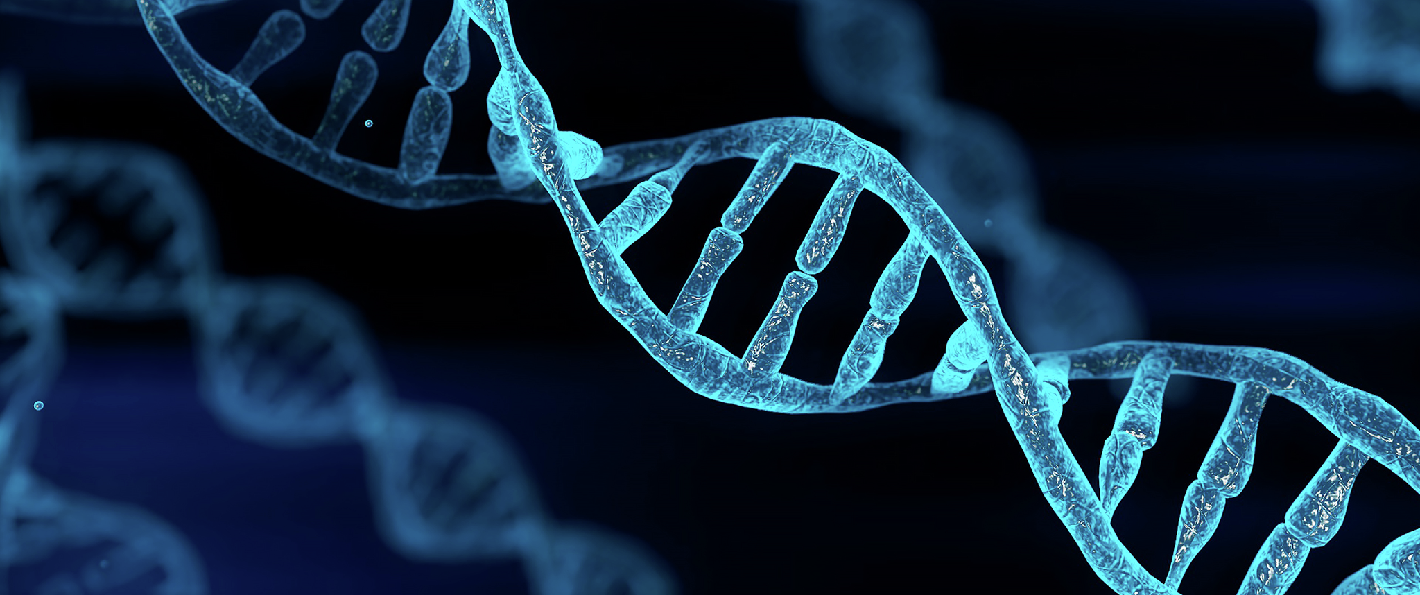 Brotherhood Is Biological: The Science Behind What You're Craving