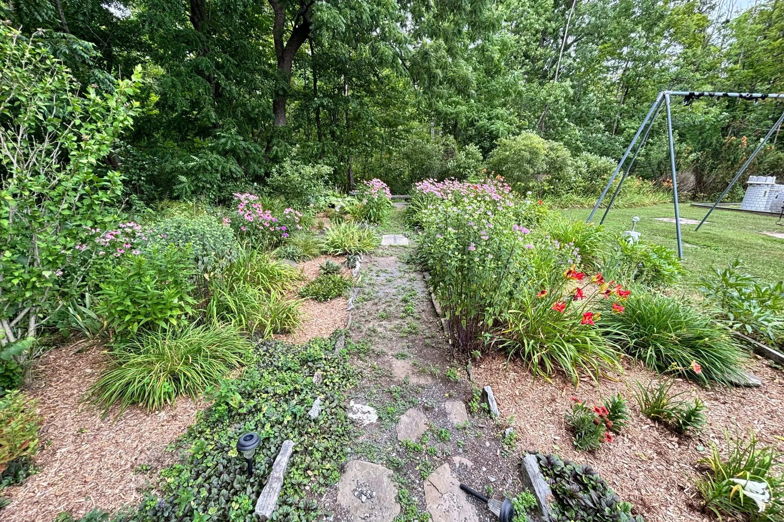 A garden with a stone pathway lined with various green plants and pink and red flowers, surrounded by lush green trees and a grassy yard with a metal swing set.