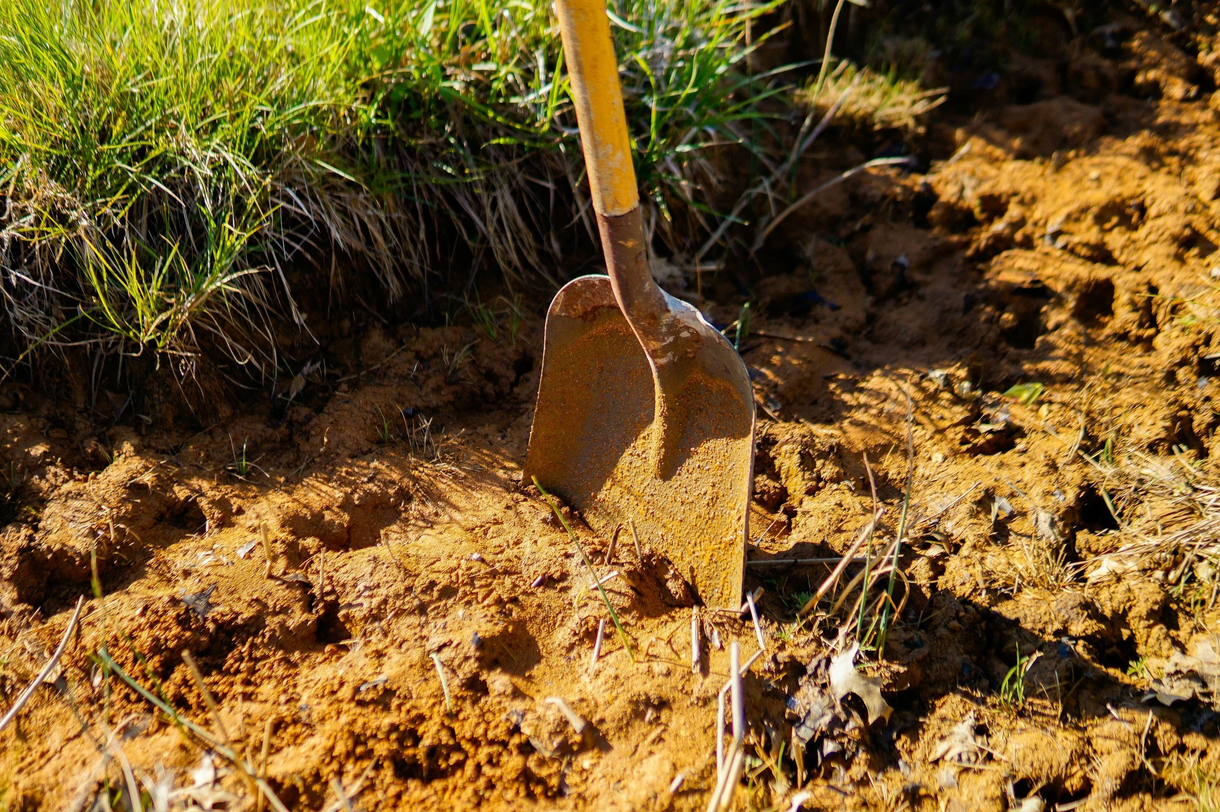 A Shovel Being Used By A PureFlow Worker In Order To Upgrade And Expand An Existing Drip System To Save Customers Time in Henrico County
