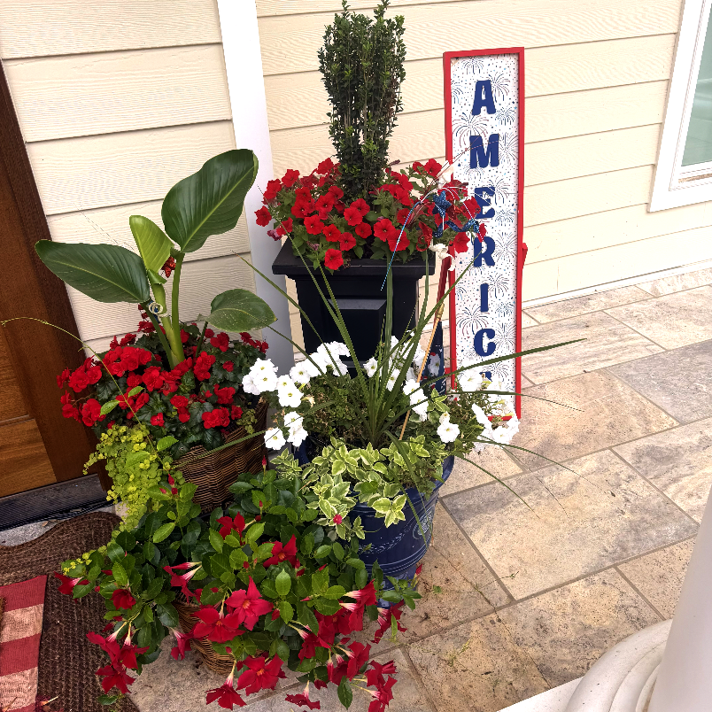 Right Front Pots After 2 Weeks.png