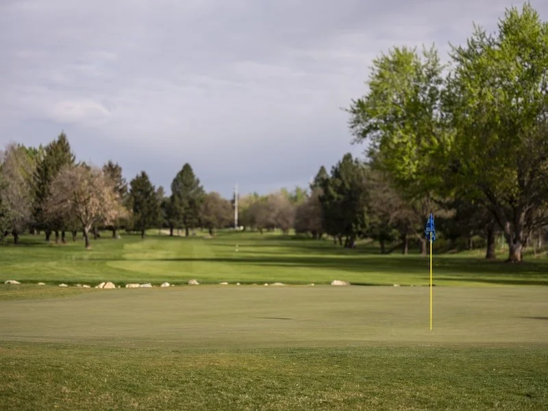 What Is a Birdie in Golf?