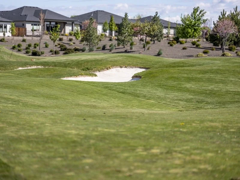What Is an Albatross in Golf?