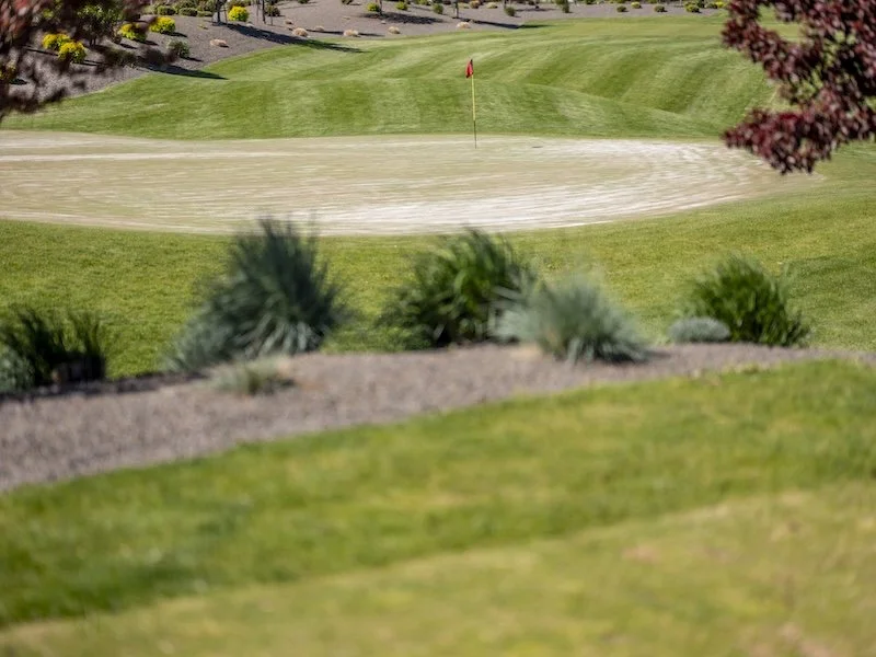 What Is a Golf Scramble?