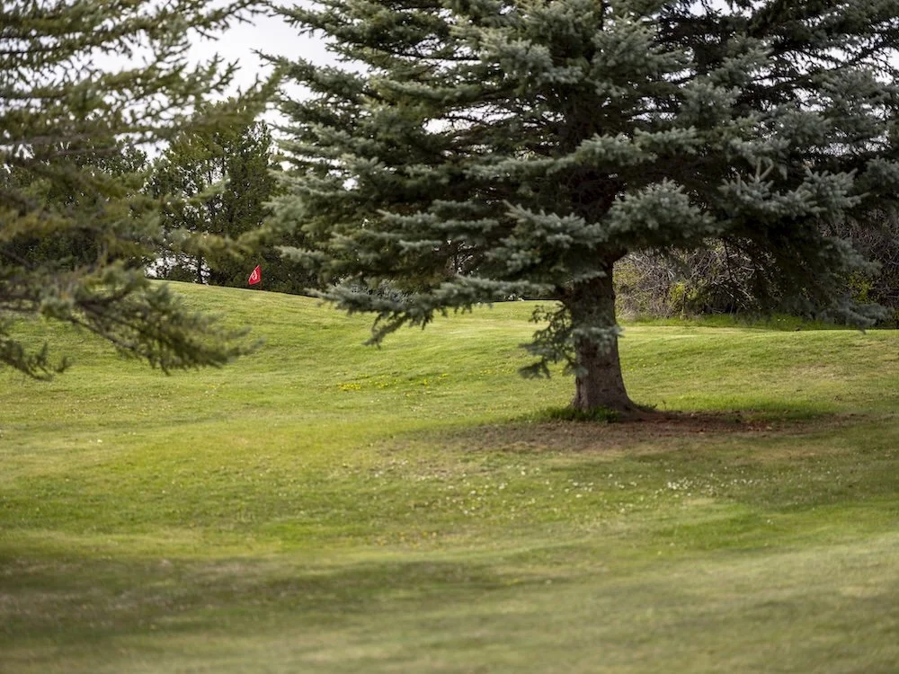 How to Play Wolf in Golf