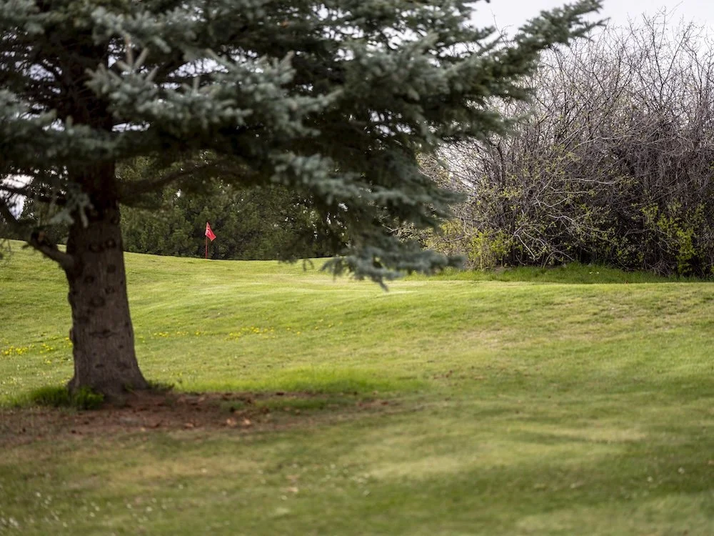 What Is a Shamble in Golf?