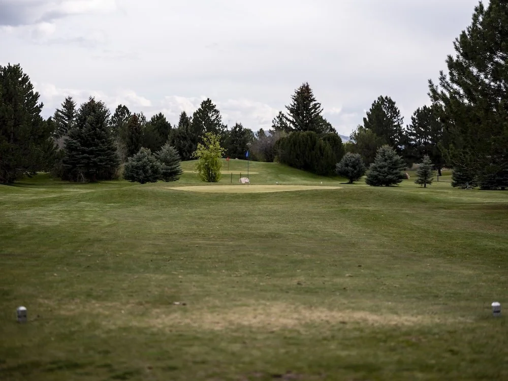 Can You Golf While Pregnant?