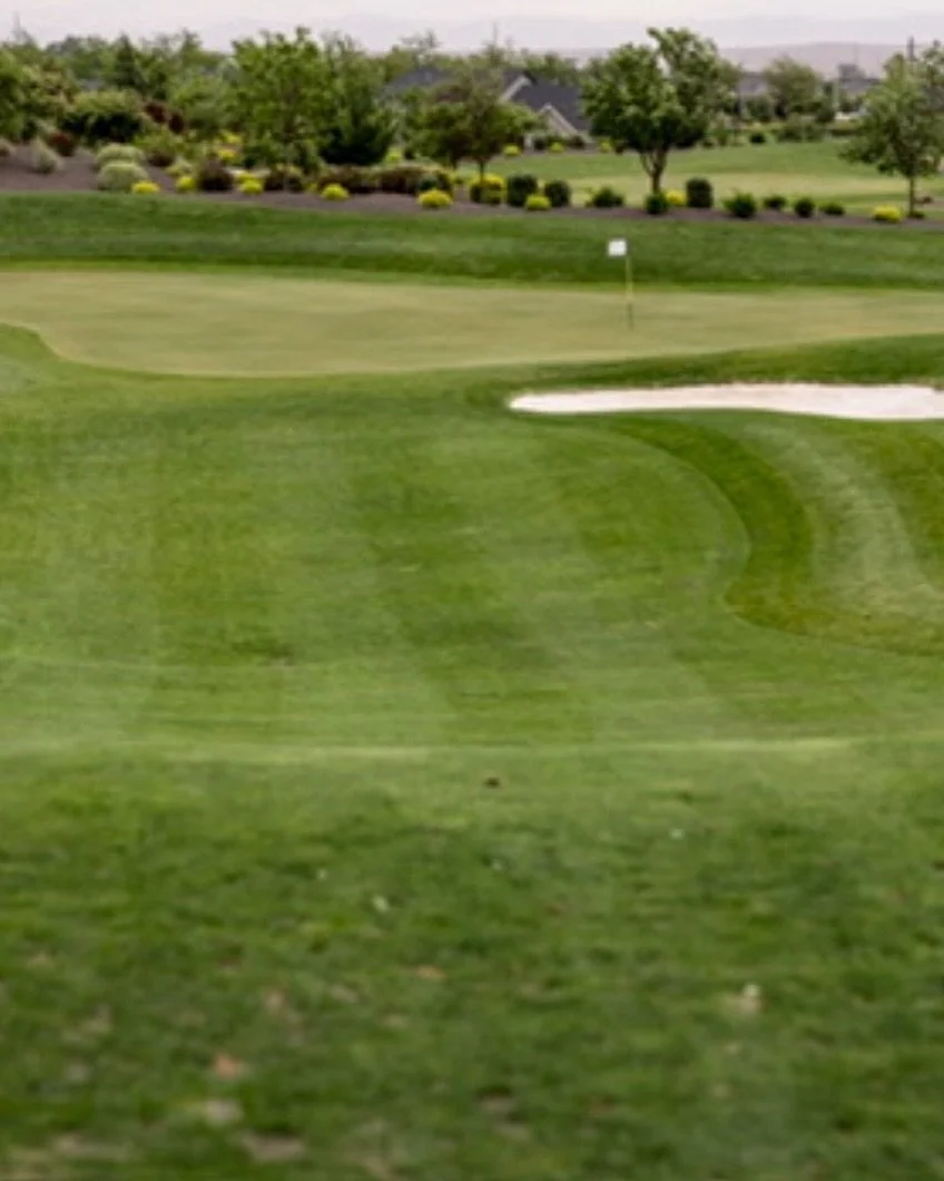 The Fairway to Heaven // #golfersofinstagram #golfisfun #golfing #golfer #golfislife