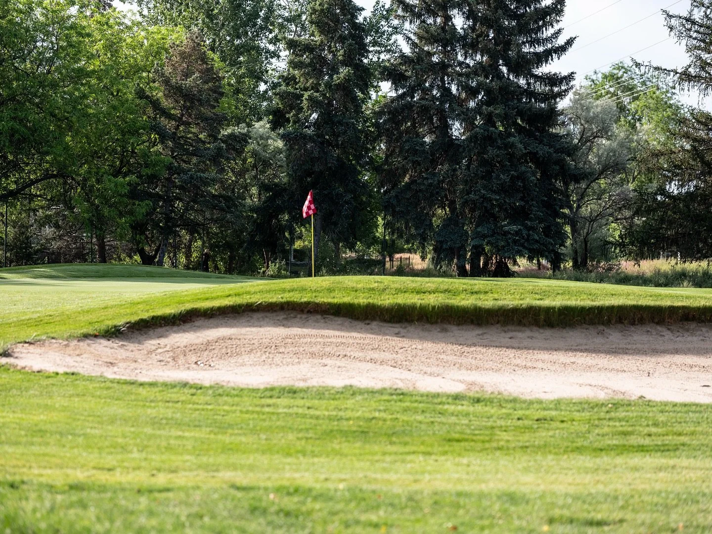 Par None // #golfersofinstagram #golfisfun #golfing #golfcourse #golfislife