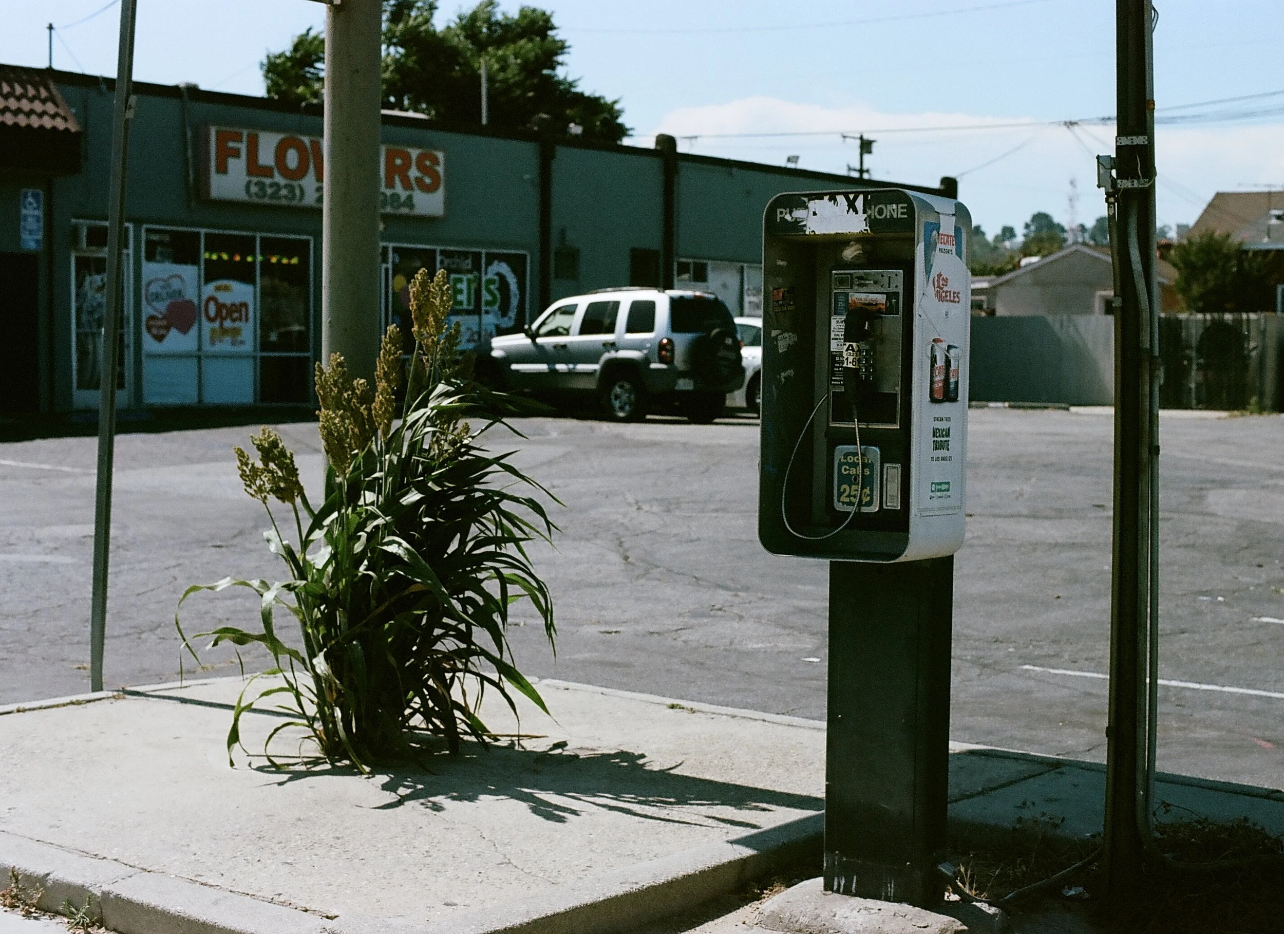 A payphone booth with a Los Angeles sticker, situated on a sidewalk beside a parking lot with a white SUV parked nearby. In the background, there is a building with a sign that partially reads 'Flowers' and some trees. A plant with yellow flowers grows near the sidewalk.