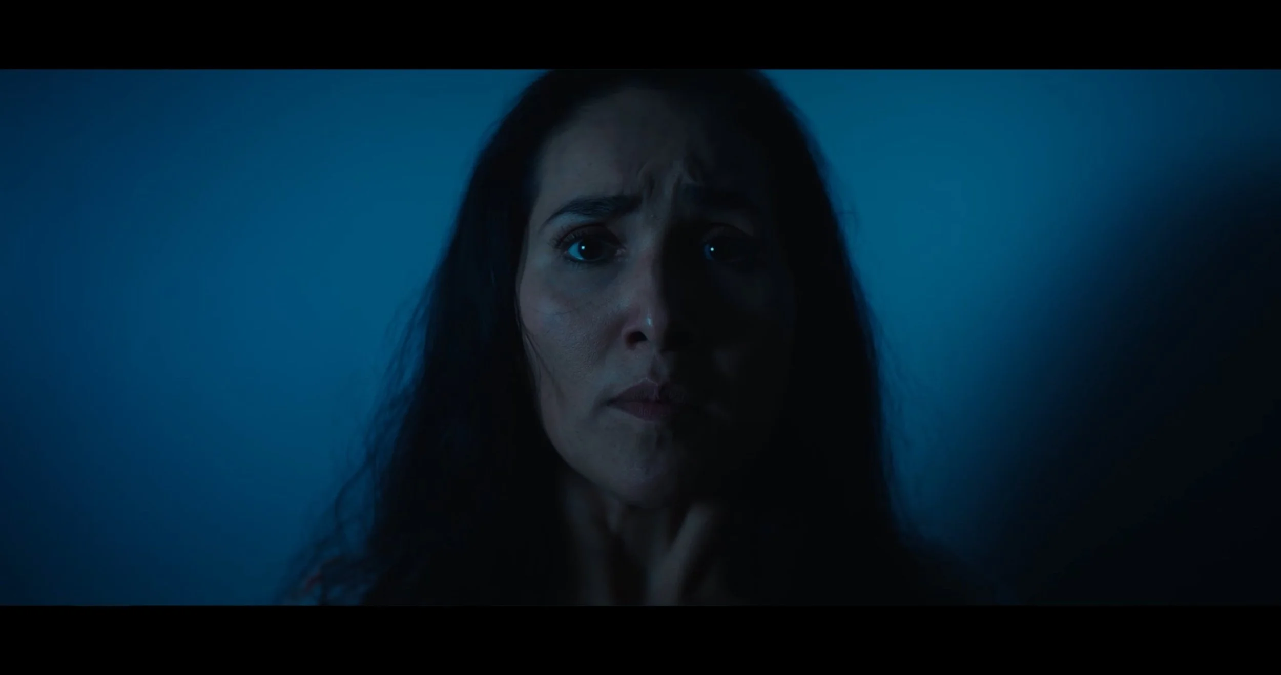 A woman with long dark hair and a serious expression, partially shadowed, against a blue background.