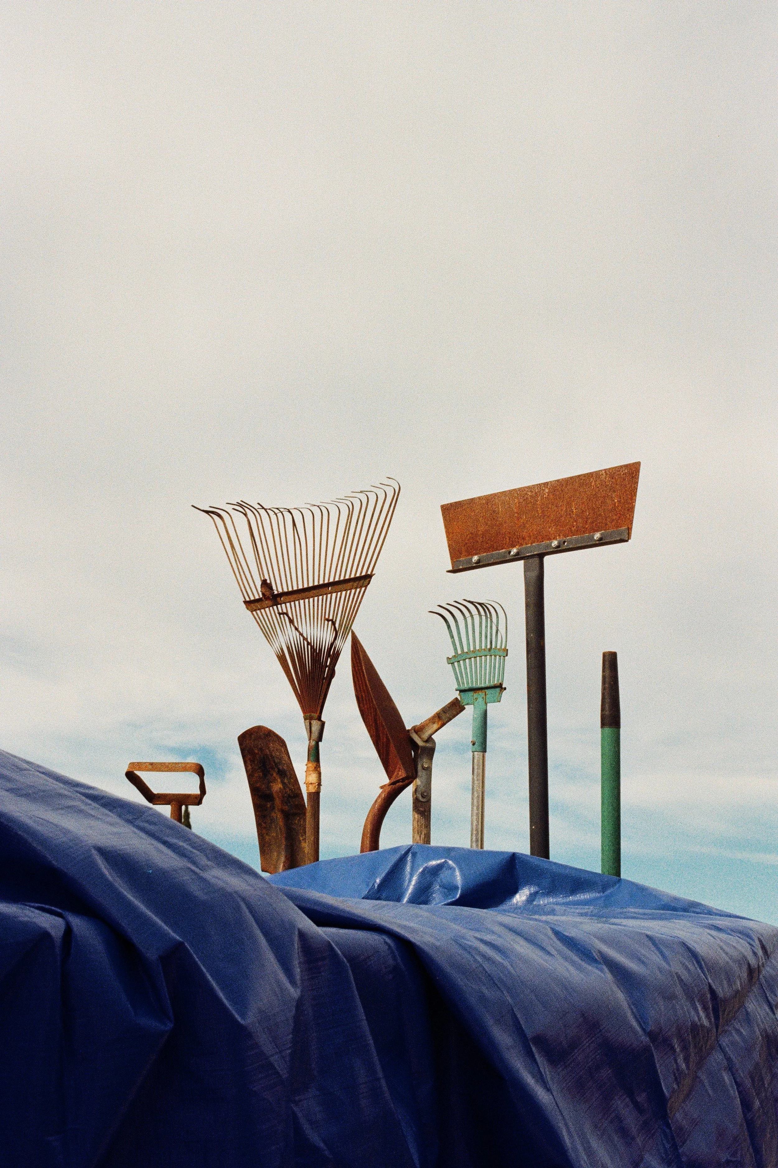 Various old garden tools, including rakes and hoes, are displayed upright with a tarp or cover in the foreground and a cloudy sky in the background.