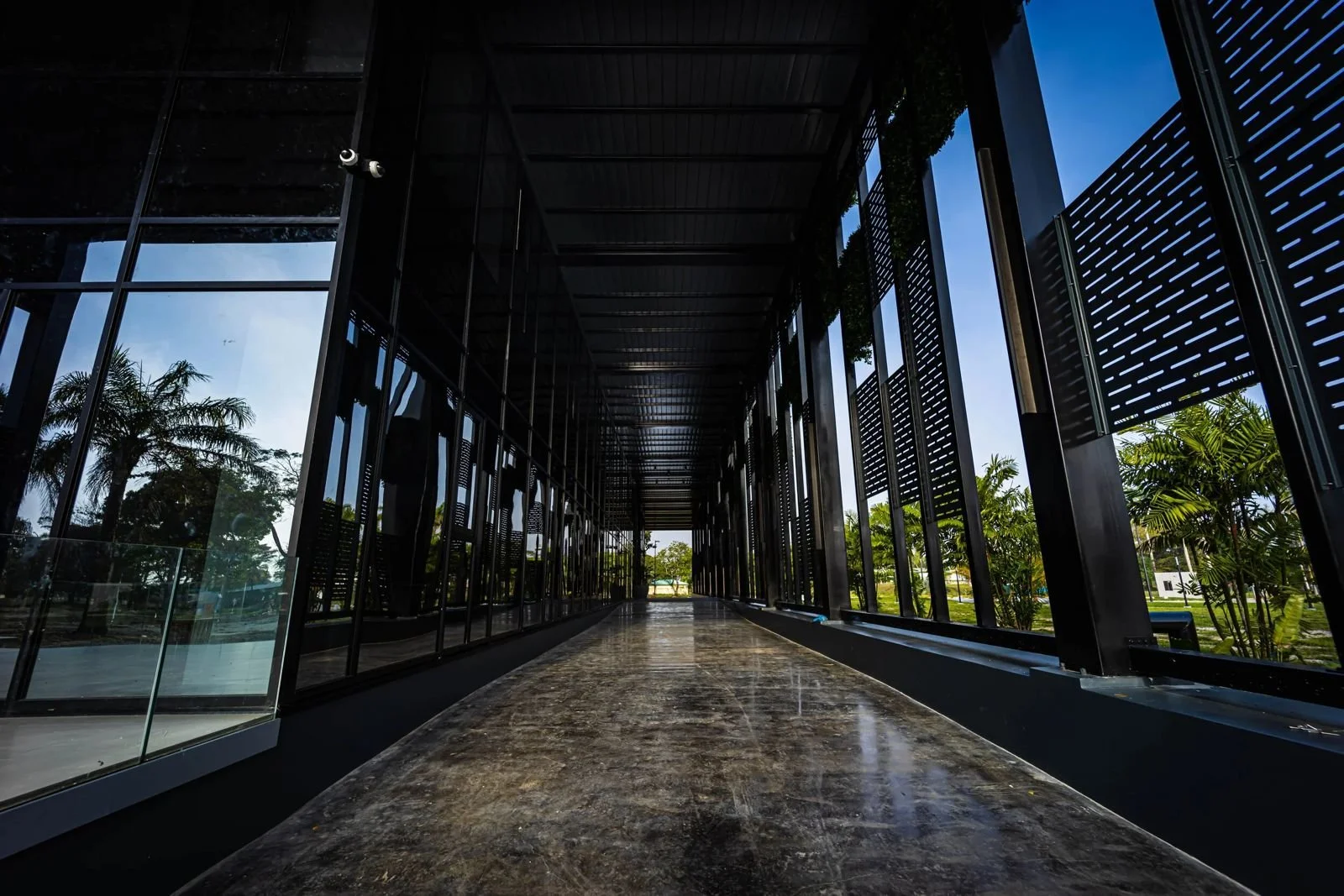 A modern building with glass walls and a marble walkway, surrounded by lush green trees and a blue sky.