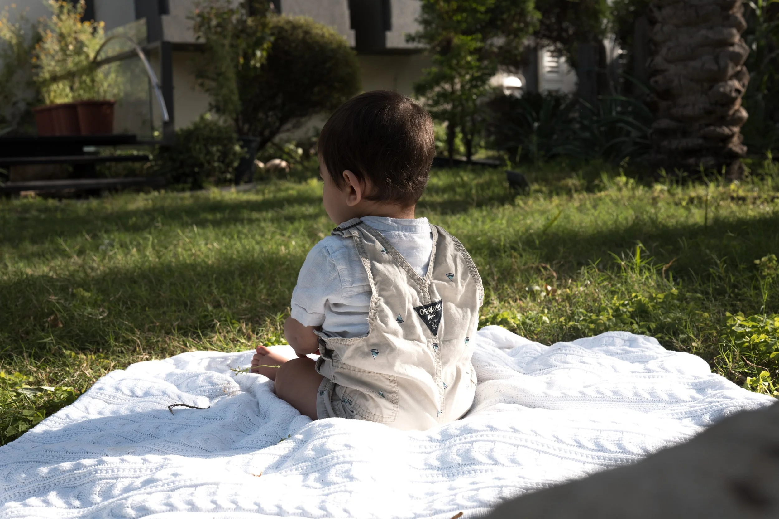 A young child sitting on a white blanket on the grass in a backyard, facing away from the camera, with trees and shrubs in the background.