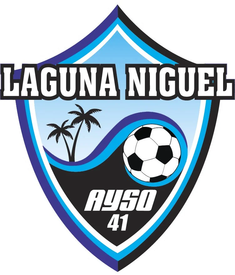 Sports team logo with a shield design, featuring palm trees, a football, and the text "LAGUNA NIGUEL" and "AYSO 41" on a blue, black, and white background.