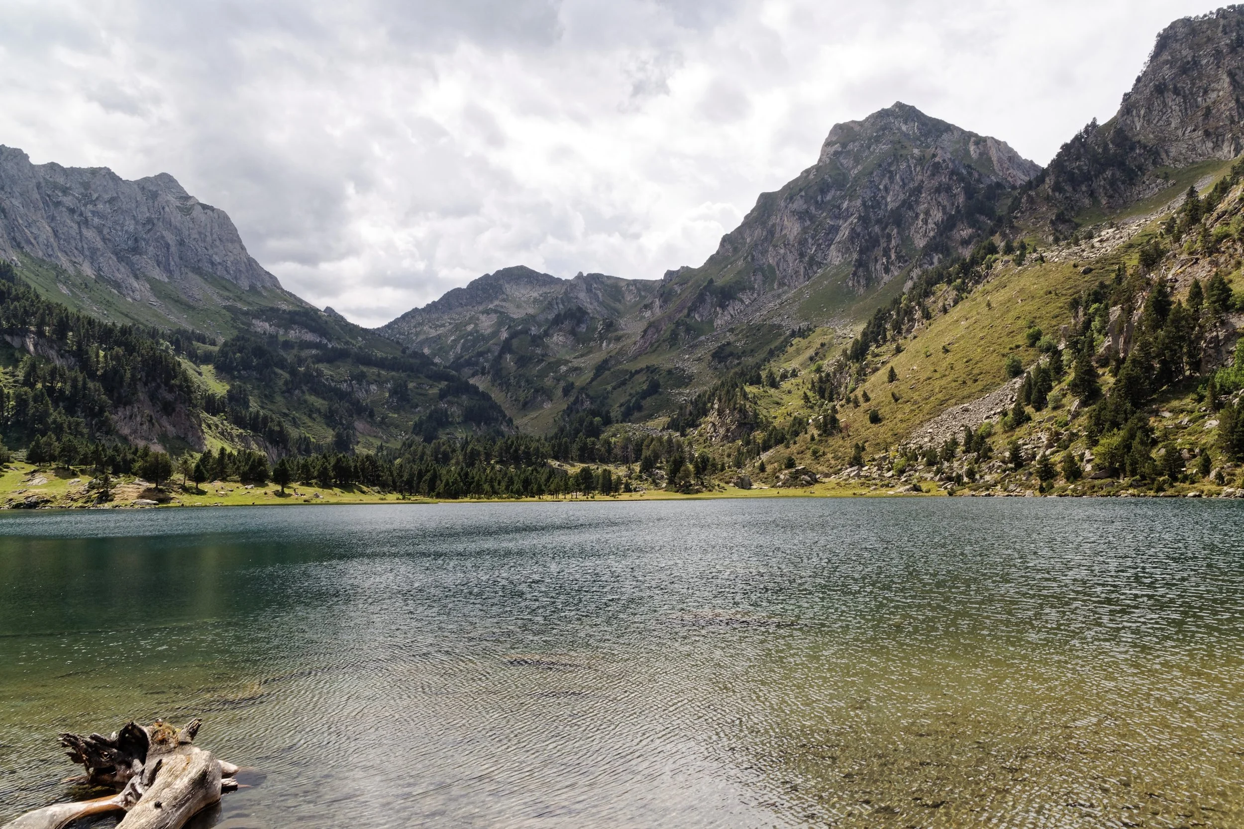 IMG_0409_DxO copie 2.jpg