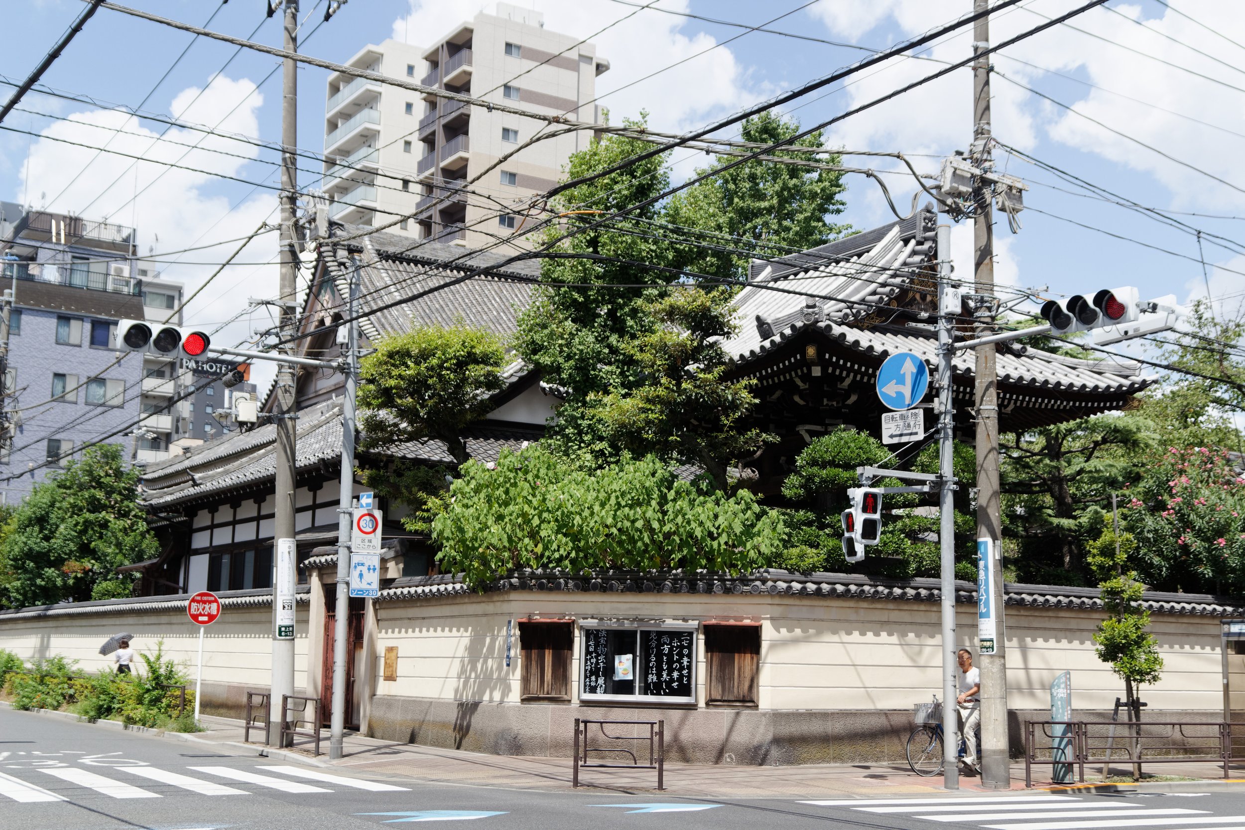 IMG_1161_DxO copie.jpg