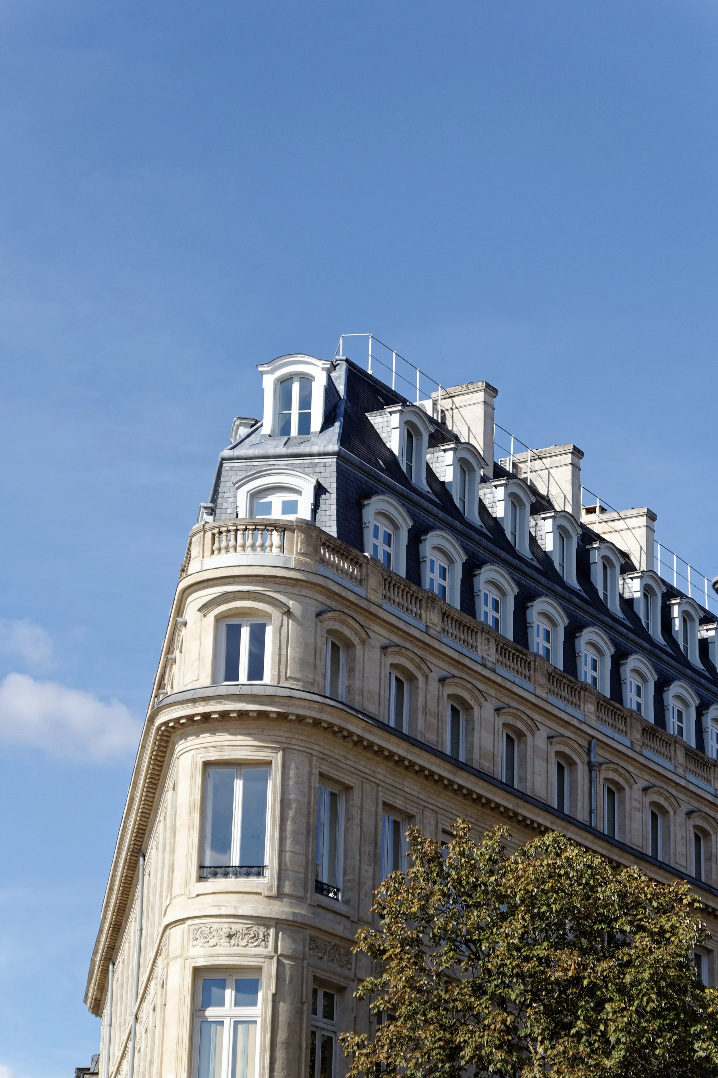 Un immeuble parisien avec une toiture mansardée et plusieurs fenêtres, en partie caché par un arbre, sous un ciel bleu.