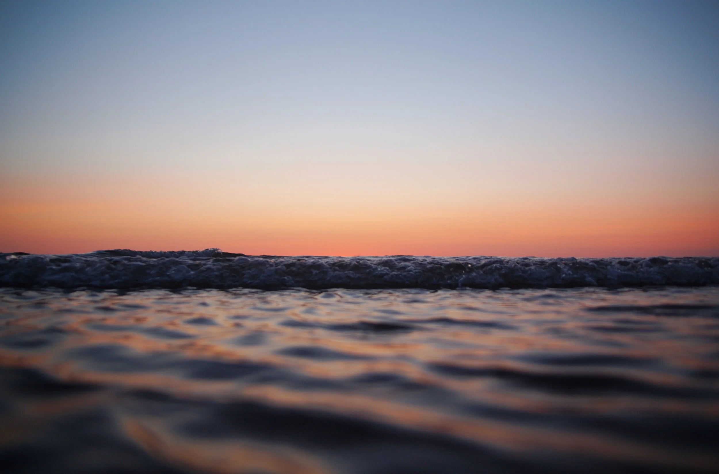 IMG_4448_DxO retouche copie.jpg