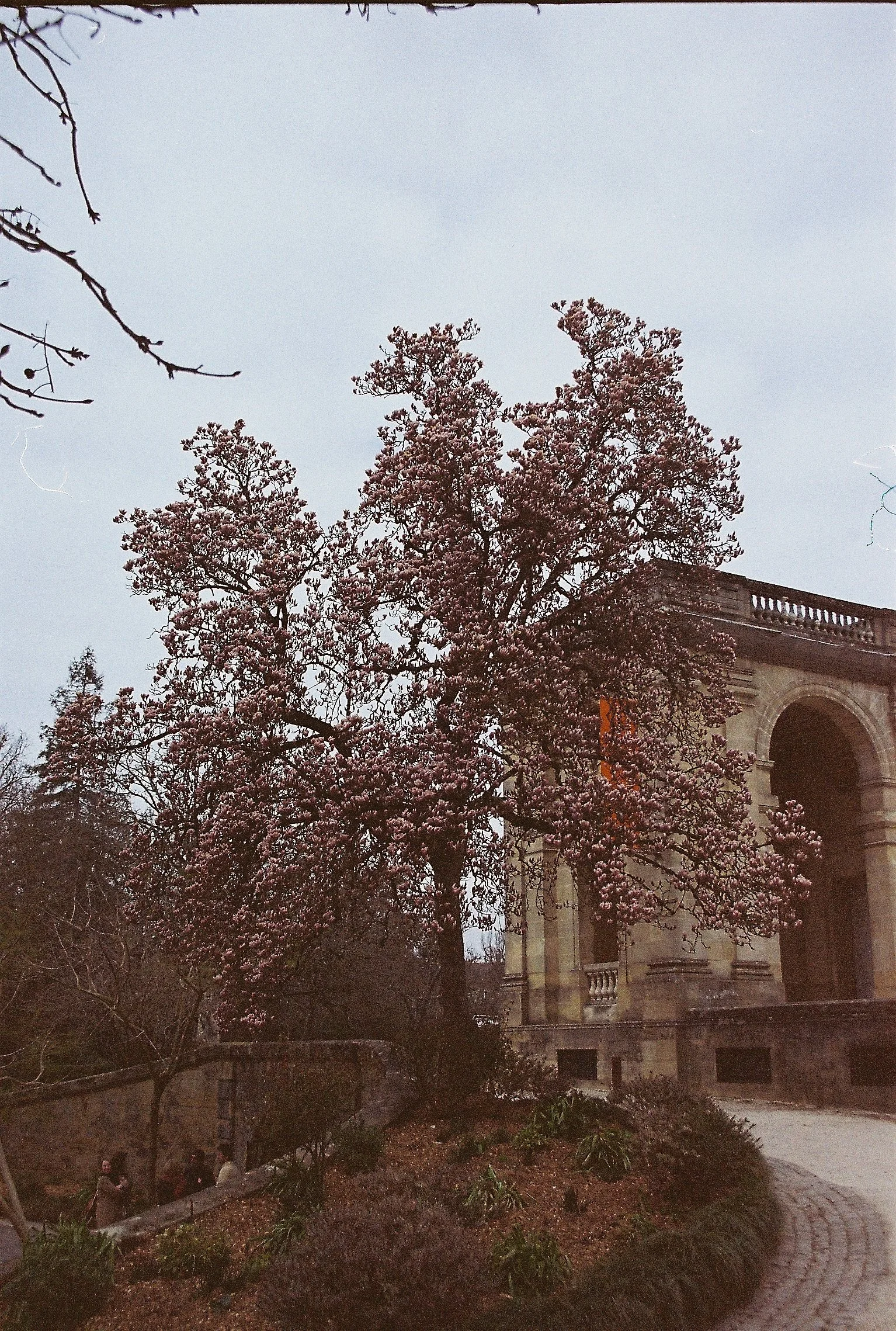 D018090-R1-12-13 copie.JPG