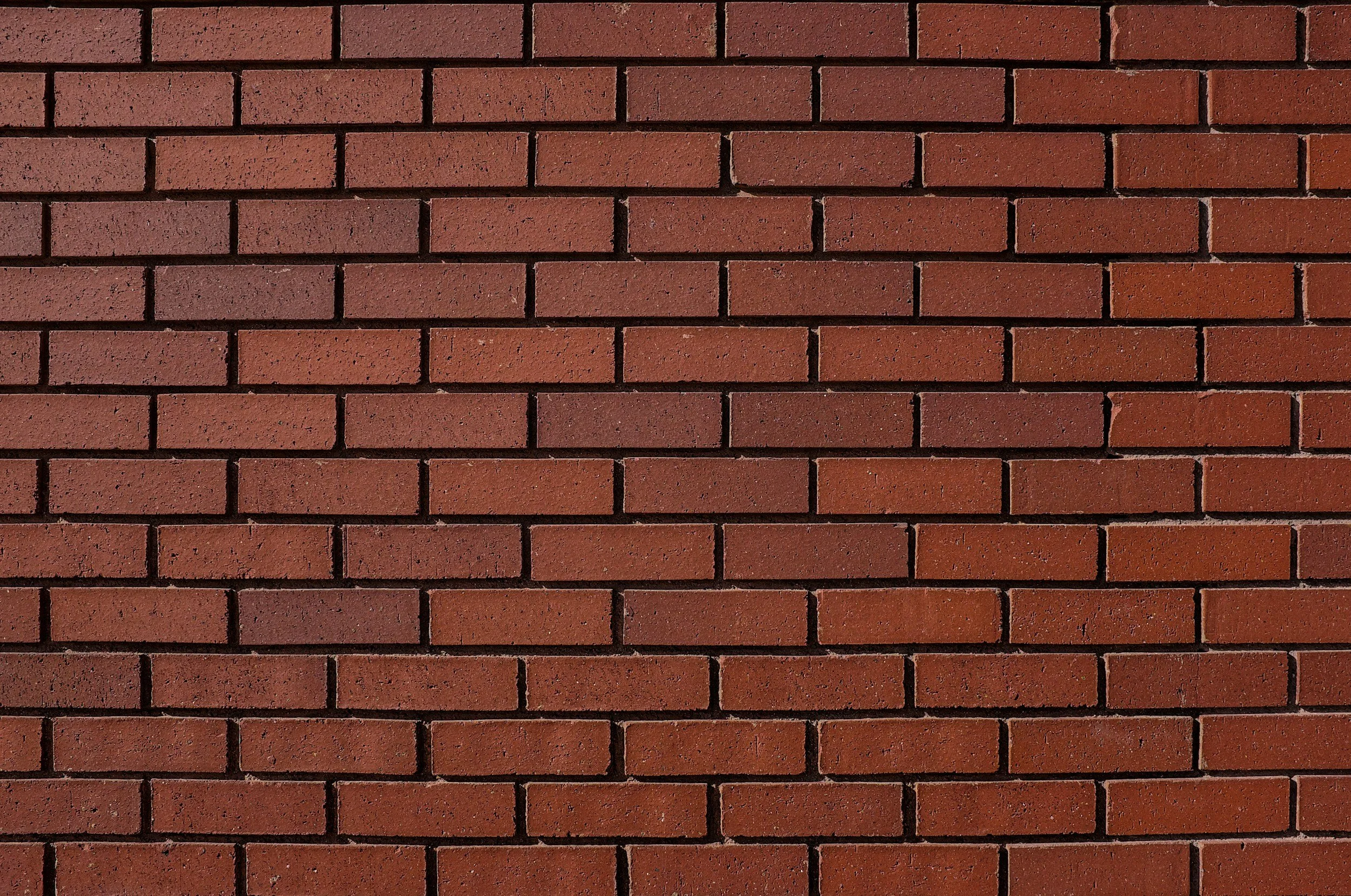 unsplash-image-XEsx2NVpqWY.jpg