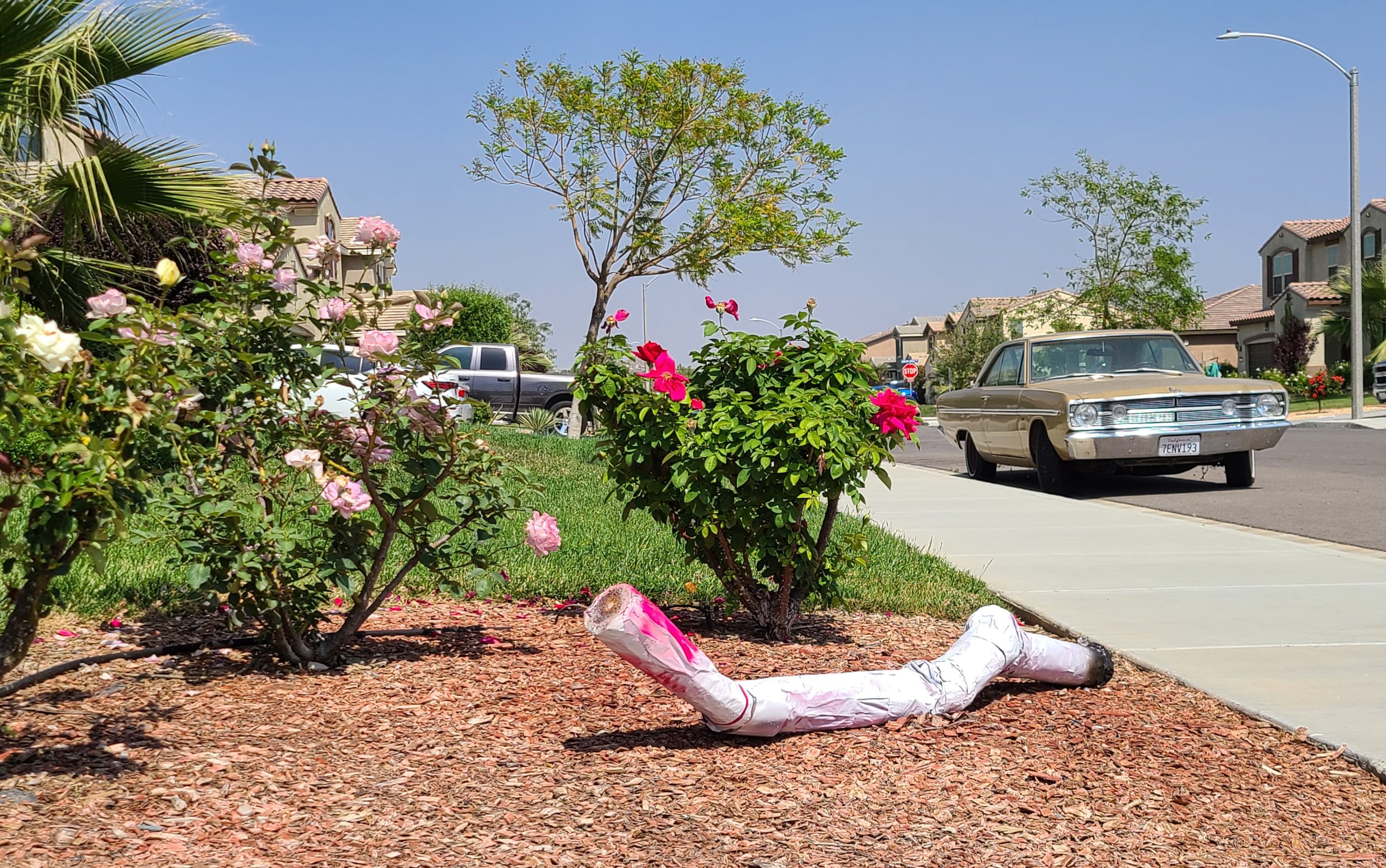 A yard with flowering bushes, a tree, and a sidewalk, with a yellow vintage car parked on the street. An object that looks like a rolled-up piece of paper or fabric is on the ground.