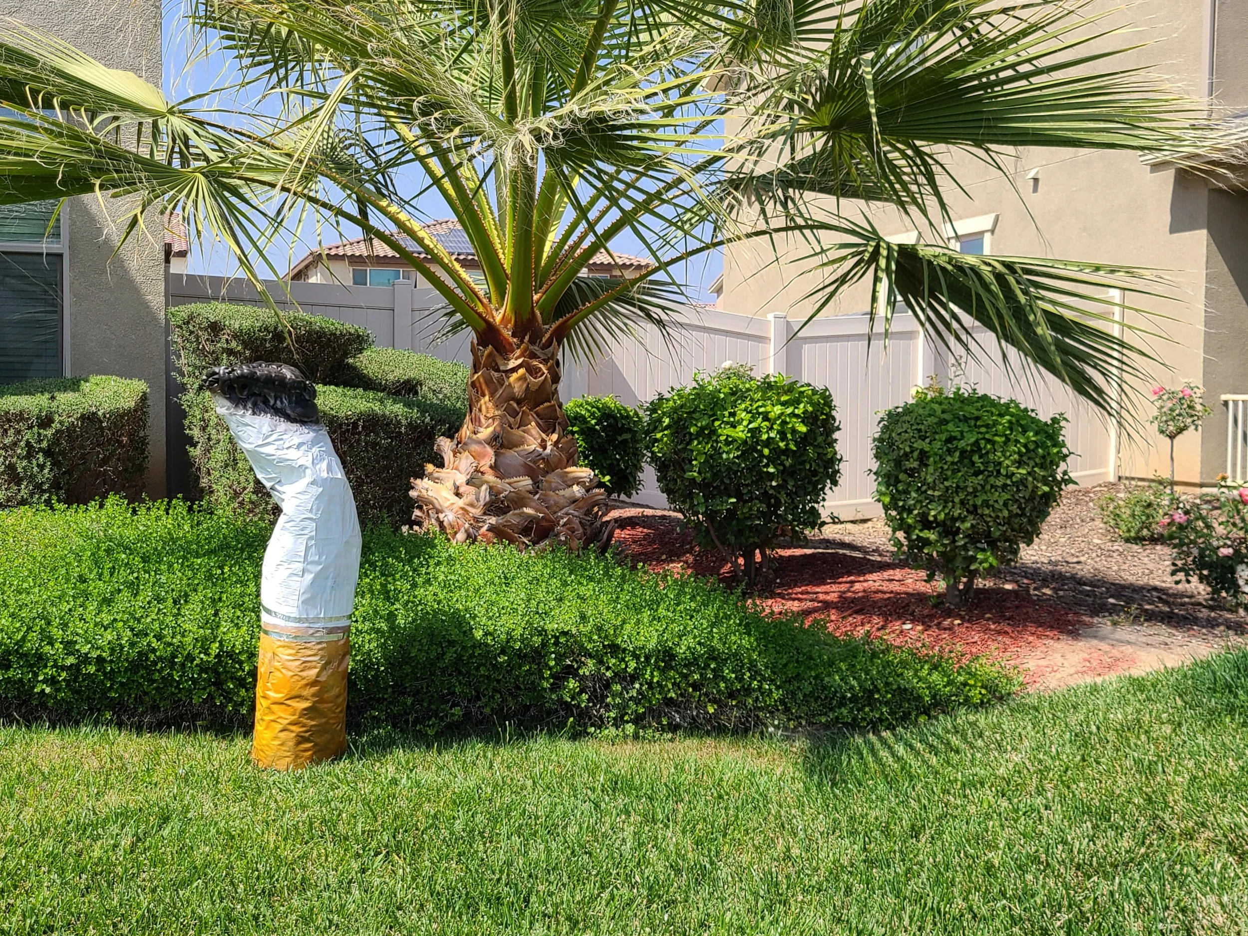 A backyard with a tall palm tree, well-trimmed bushes, green grass, and a decorative snake sculpture wrapped in reflective and gold-colored material.