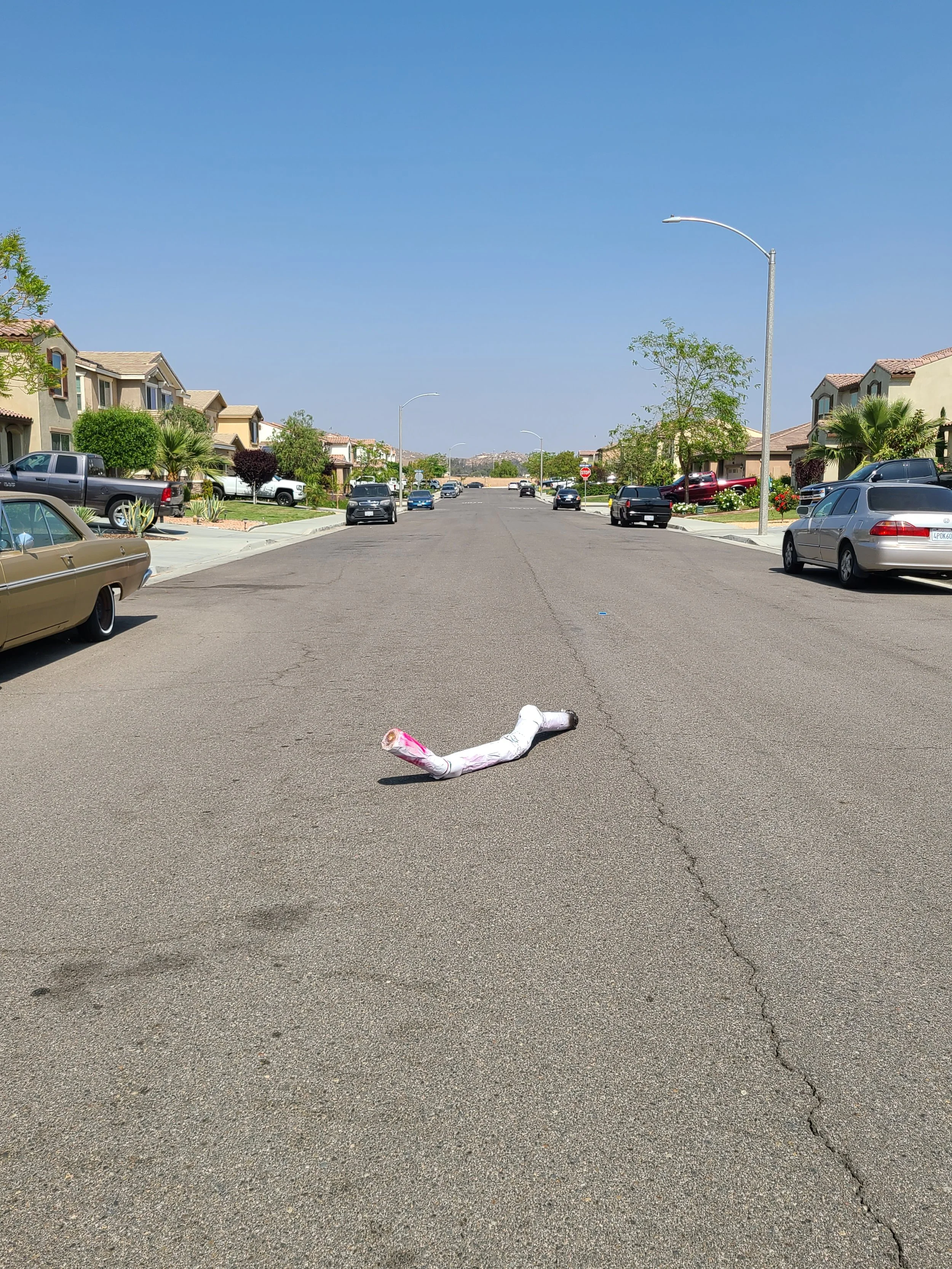 A residential street with parked cars on both sides under a clear blue sky, a street lamp, and houses with trees, with a rolled-up item in the middle of the street.