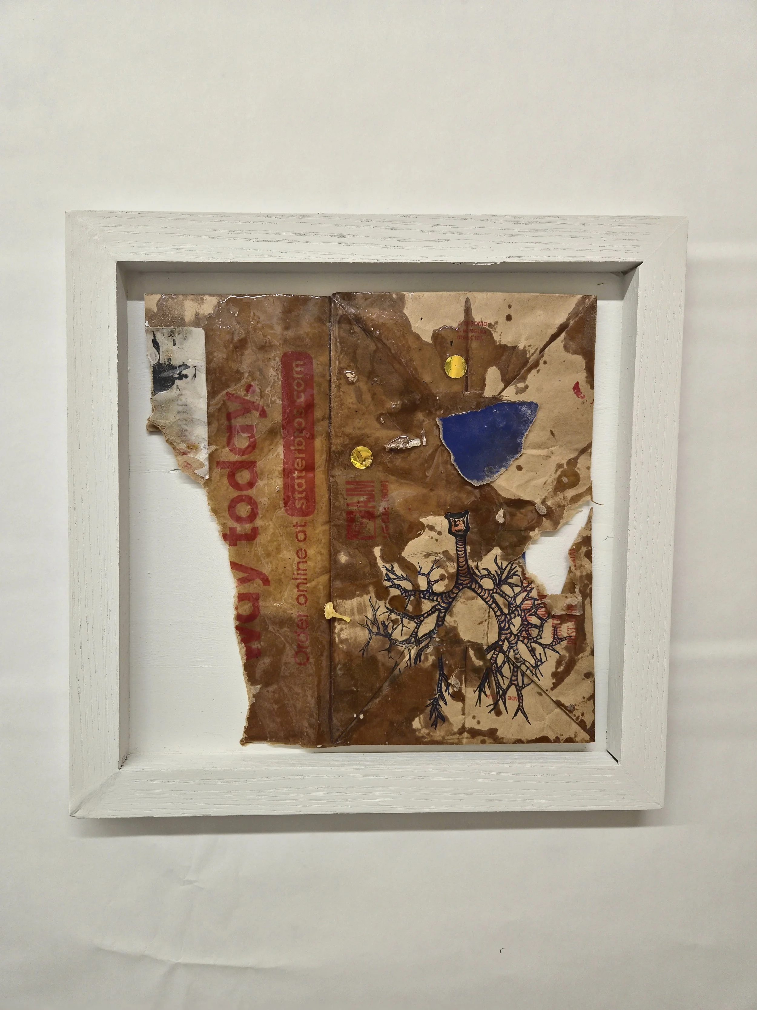 Mixed media artwork featuring a torn piece of Amazon packaging with a drawn human lungs and a tree branch, framed in a white box frame.