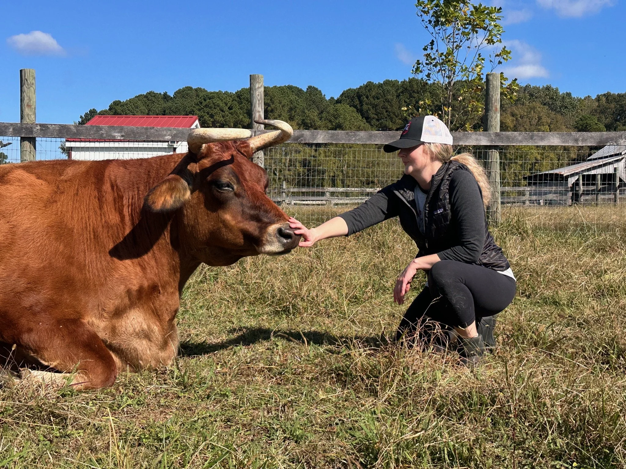 Dr. Erin Kalan