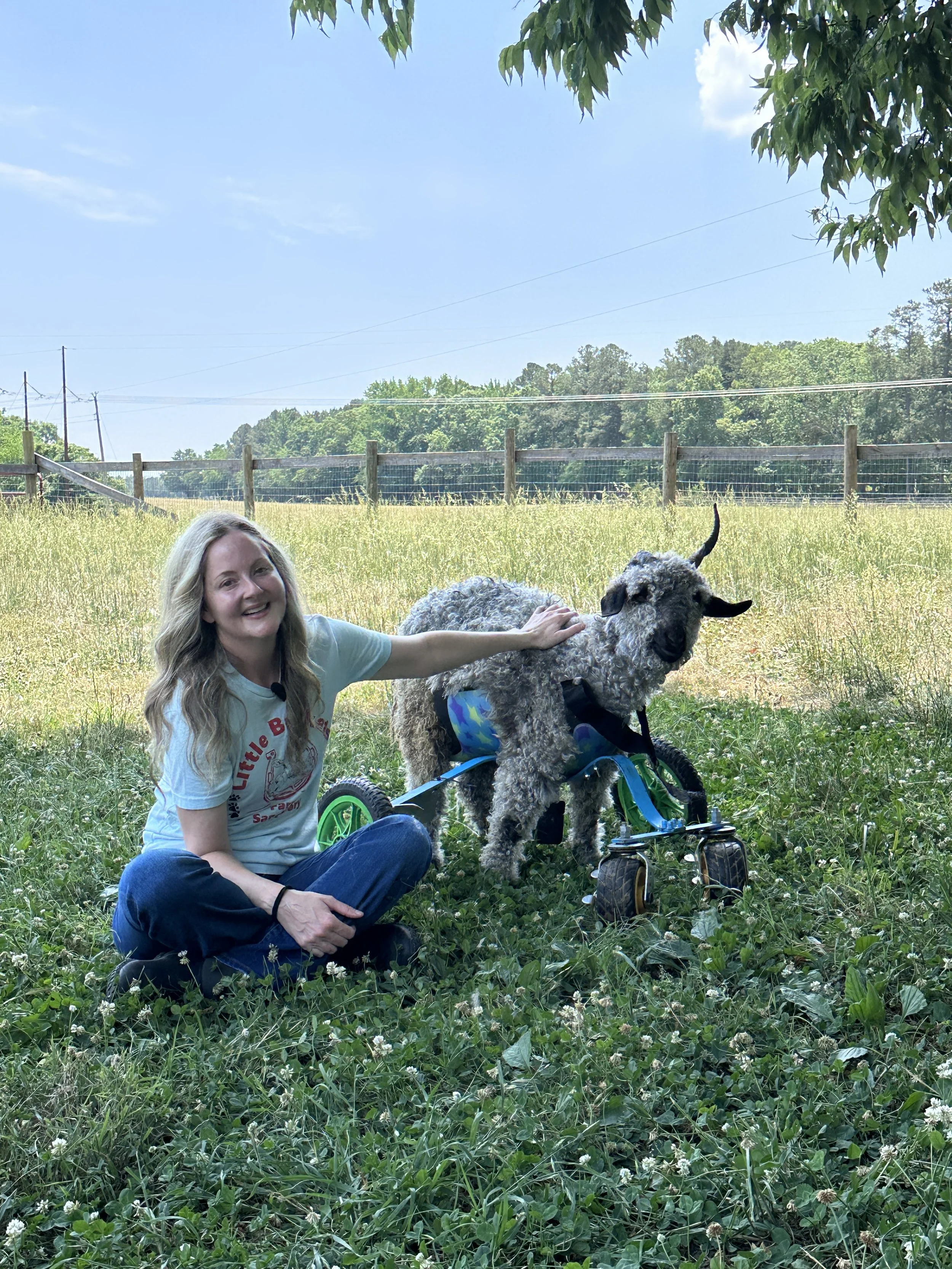 let’s talk conservation medicine 