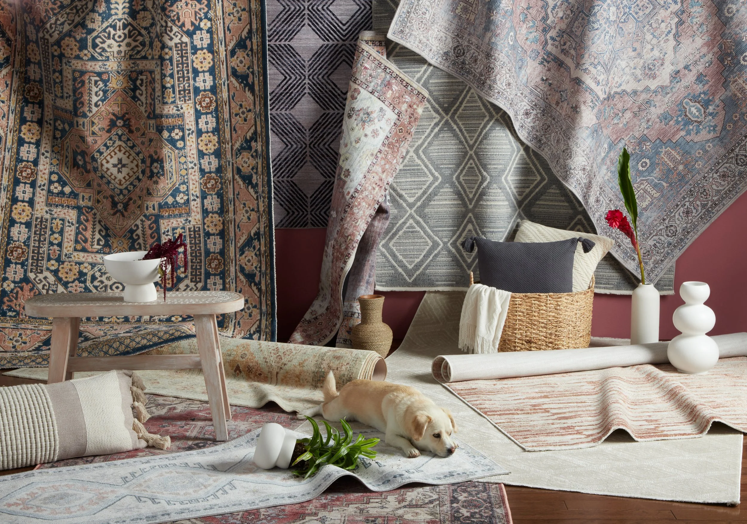 FW 2022_LOOKBOOK_EVERWASH RUG PARTY_DOG.jpg