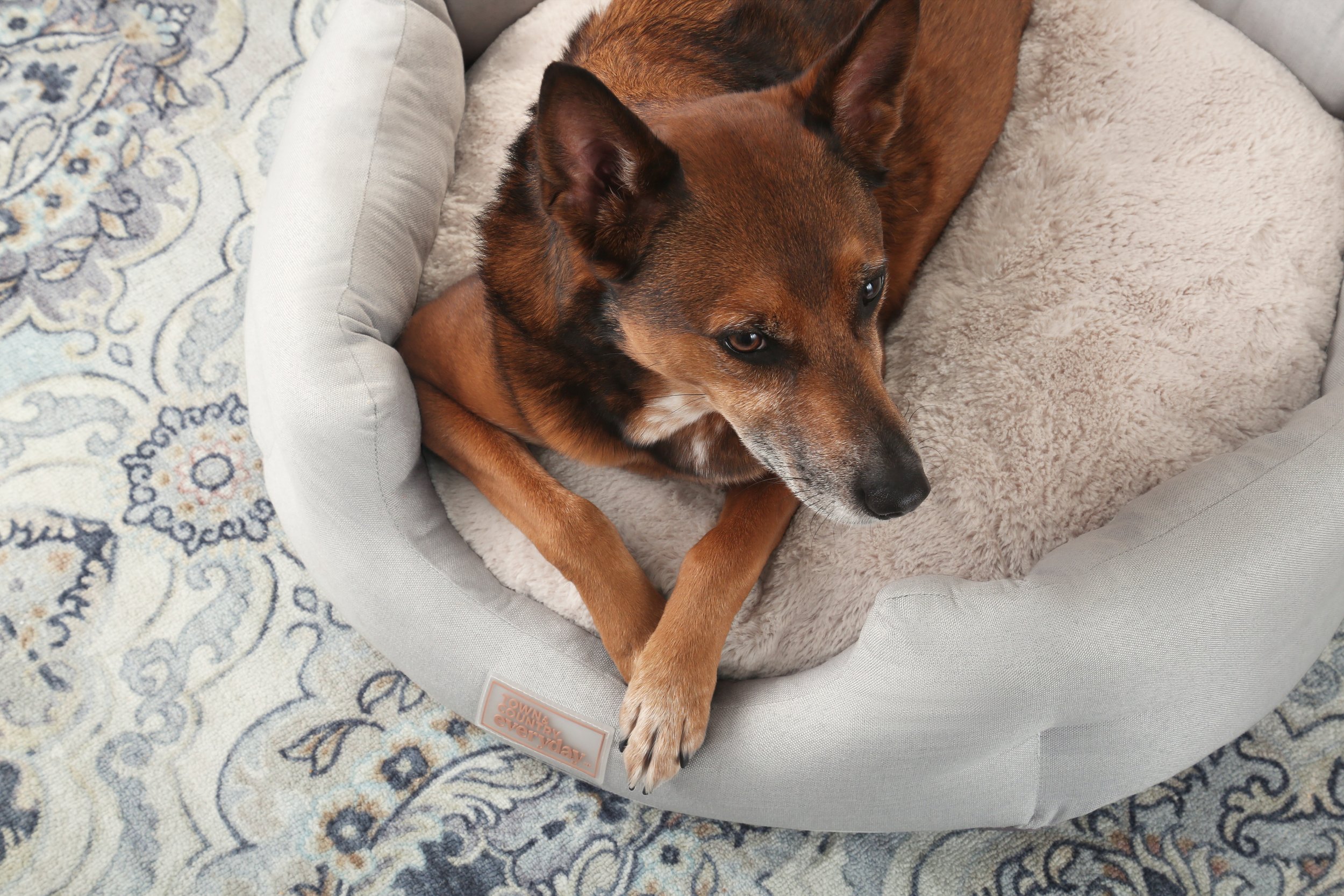 TCE_CUDDLETOWN LINEN CUDDLER_GREY_PET BED_CORNER_OPTION-02.jpg