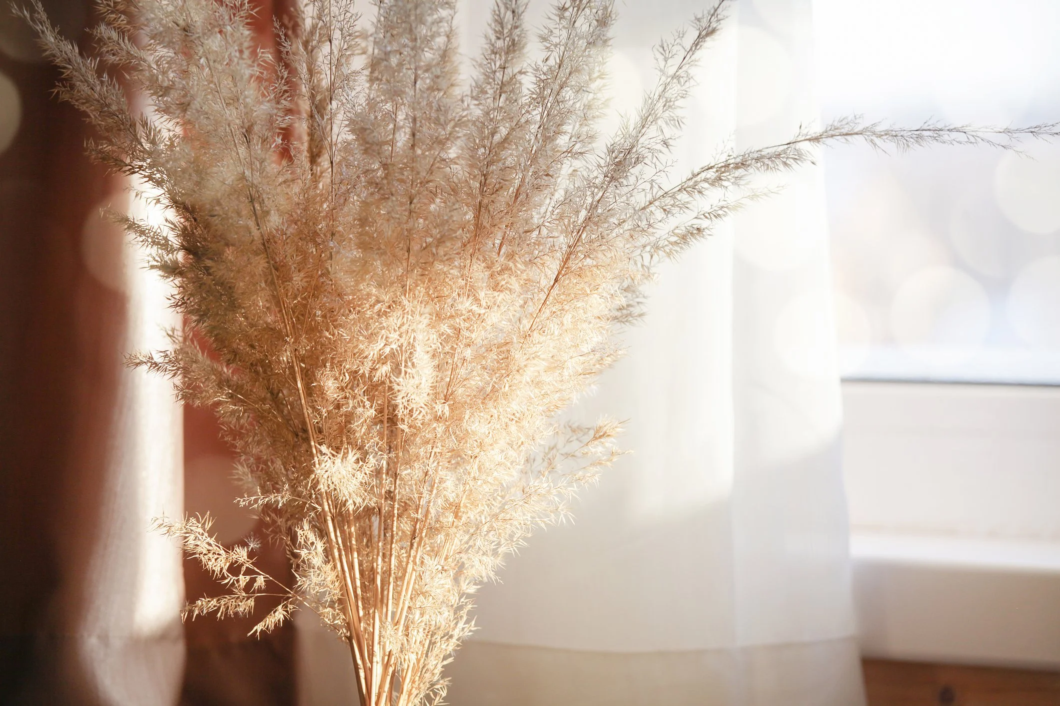 A bouquet of dried pinkish-beige ornamental grass stems displayed in a bronze vase, with soft natural light coming through a window in the background.