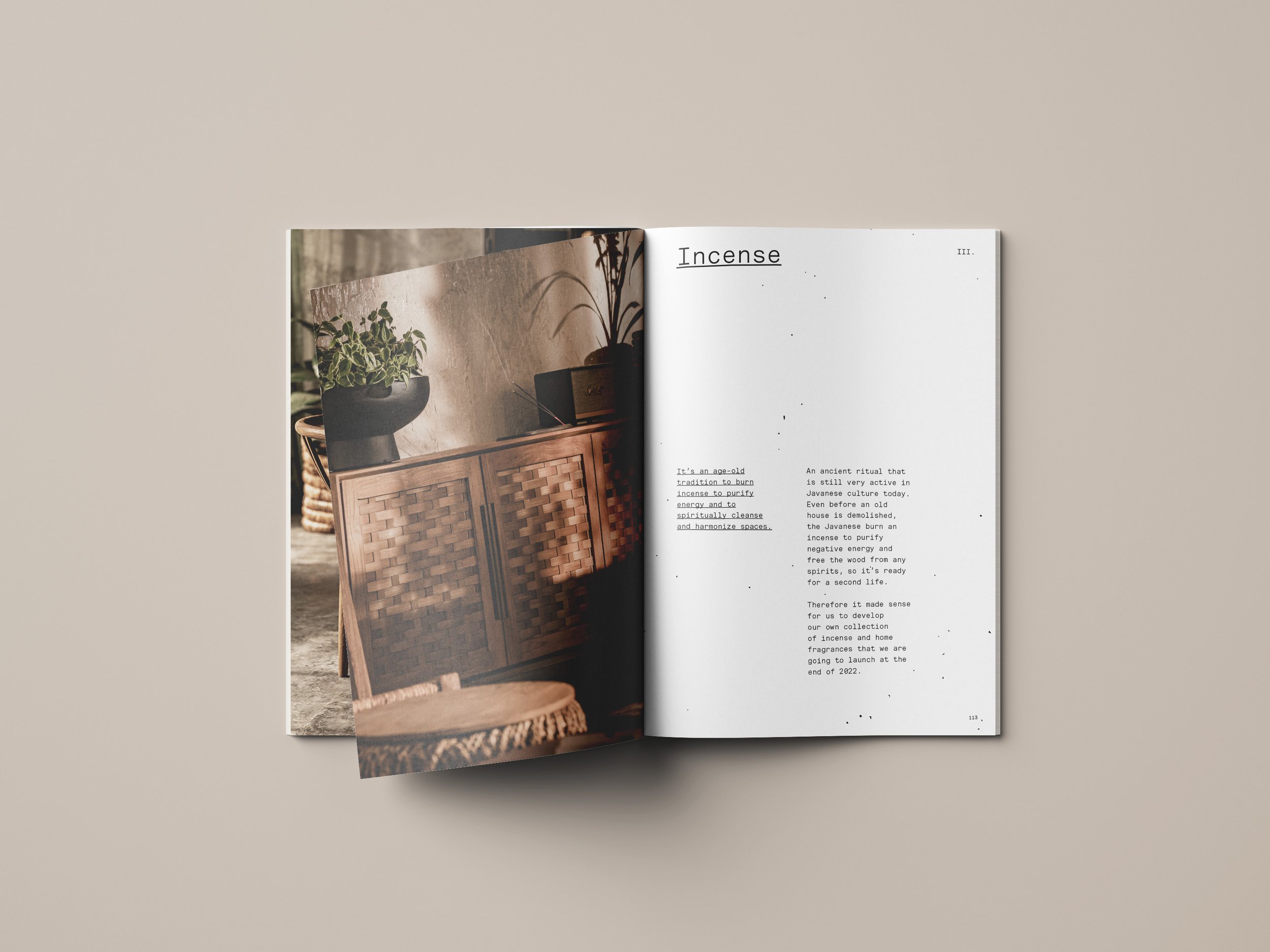 dBodhi_BrandBook_Mockup_9.jpg