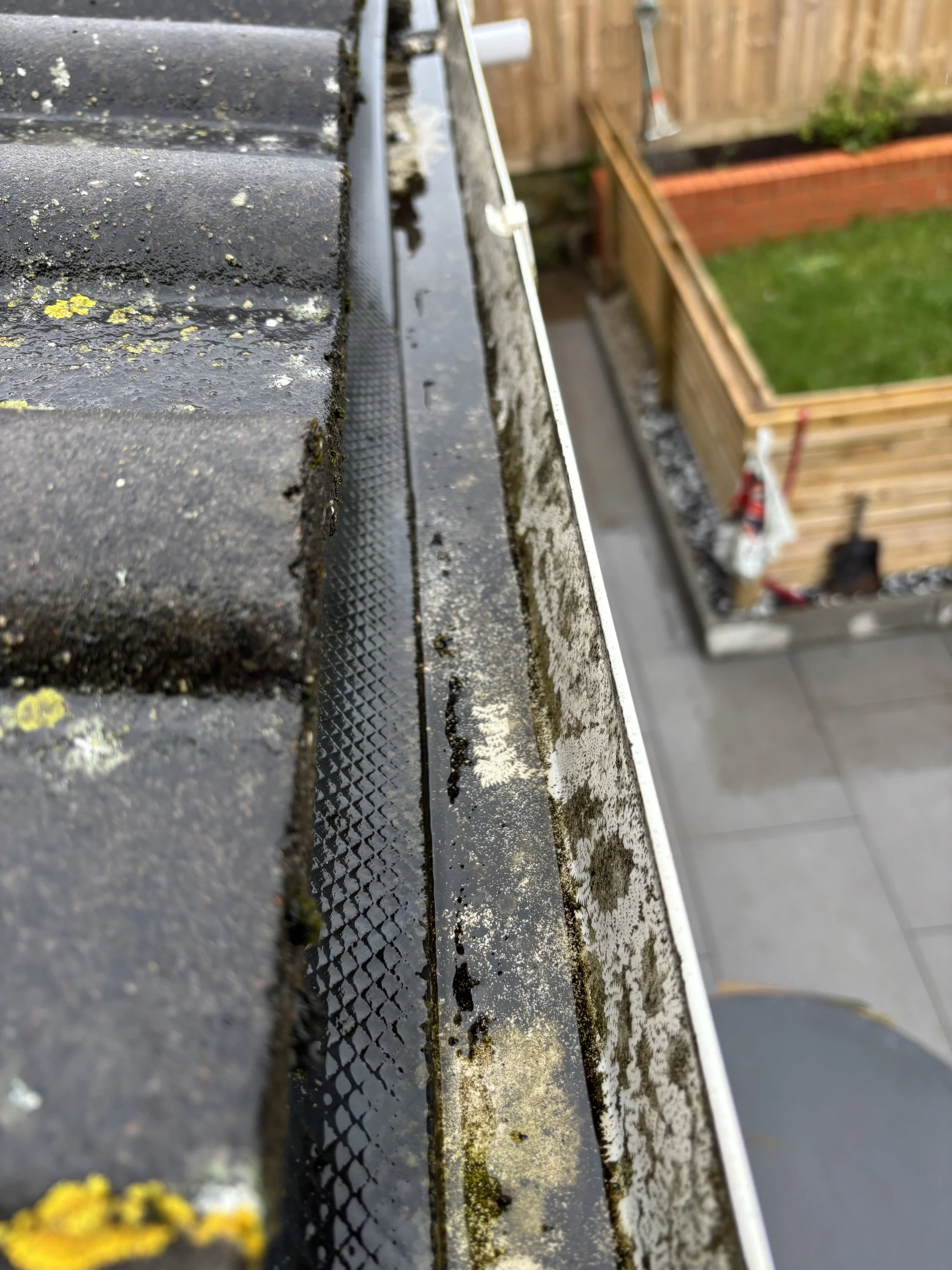 Close-up of a wet, moss-covered black roof with a gutter filled with water and debris, and a backyard with a fenced garden and a patch of grass in the background.