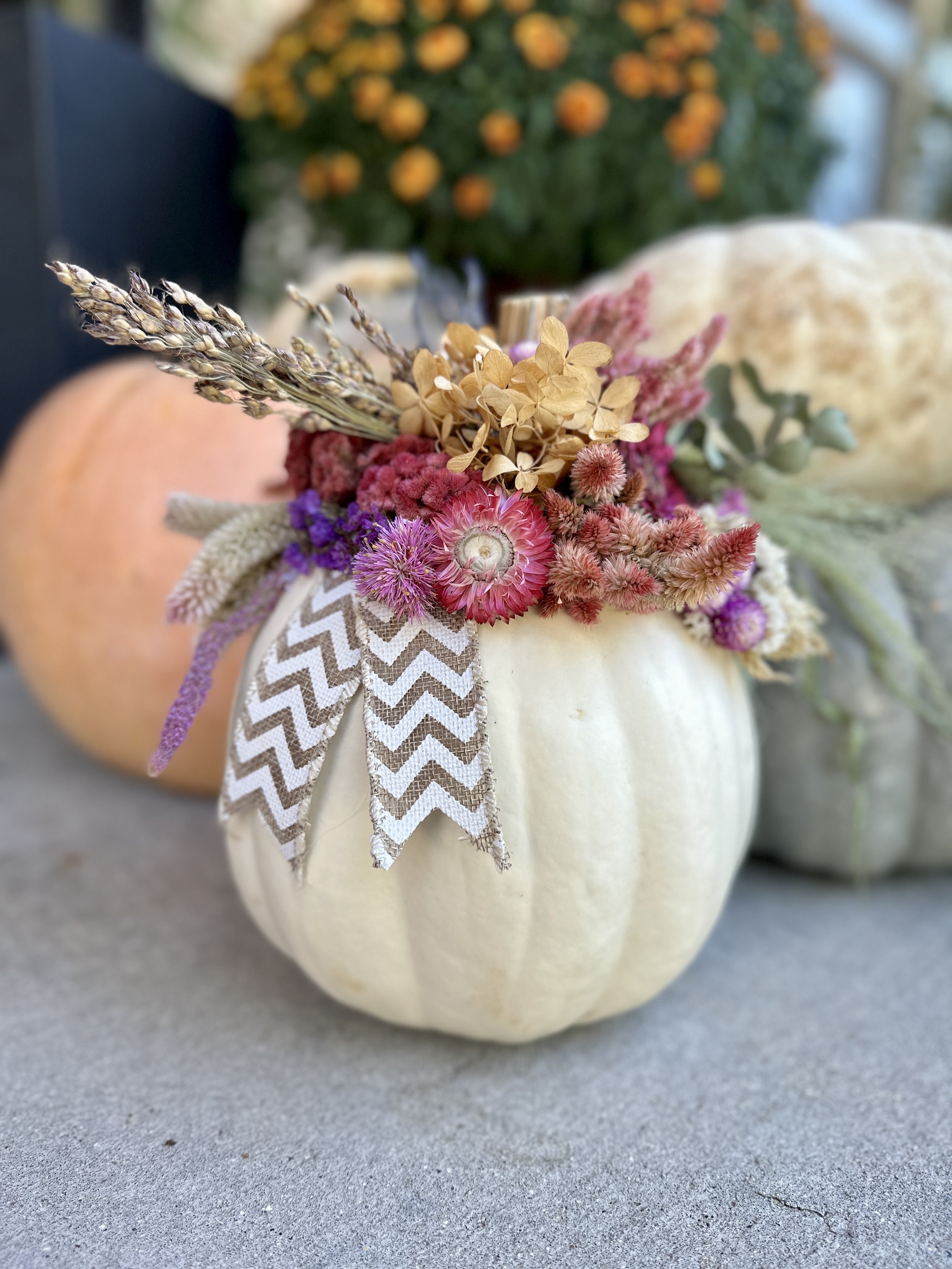 Posy Pumpkin - Wednesday, October 14th