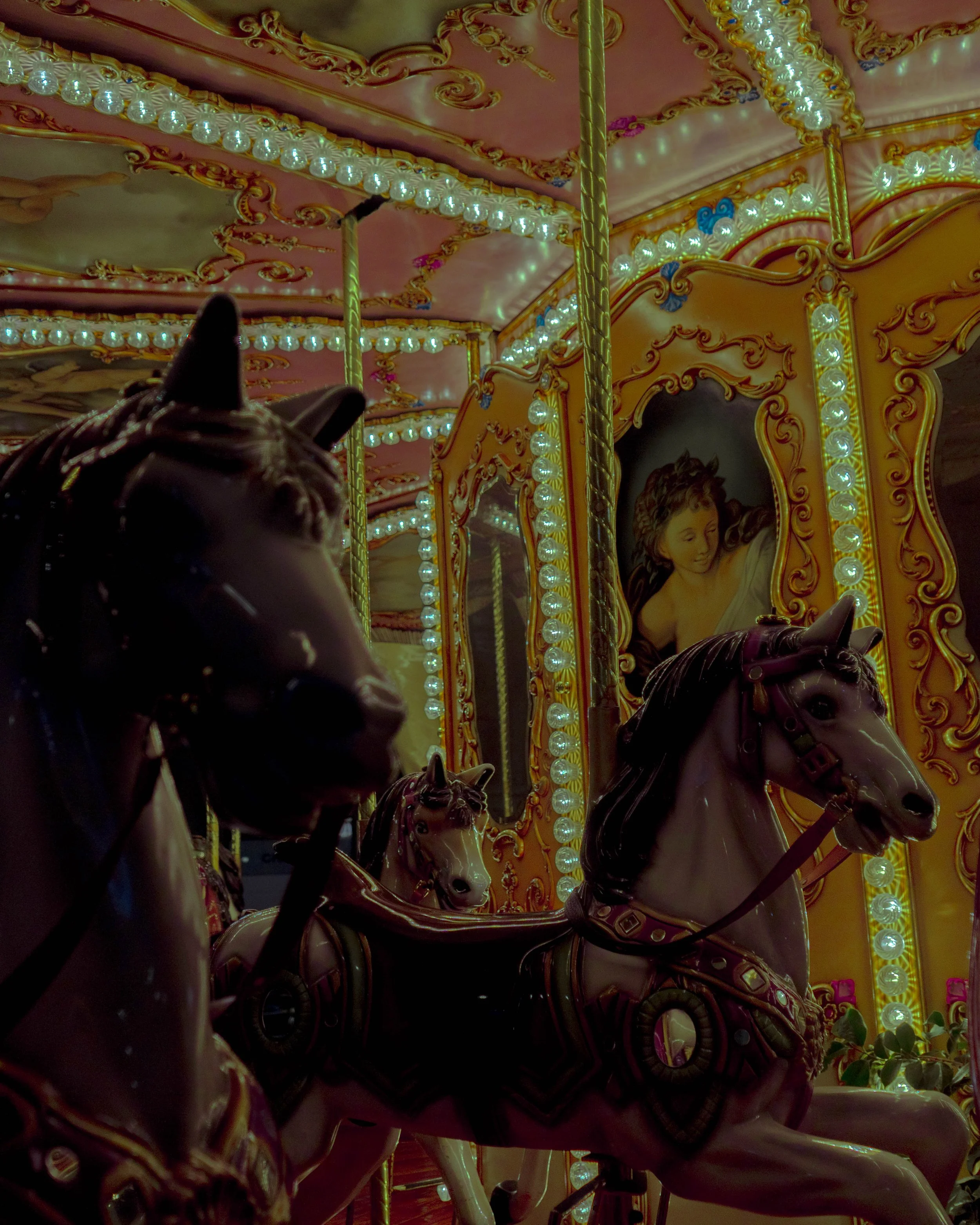 horses 2.jpg