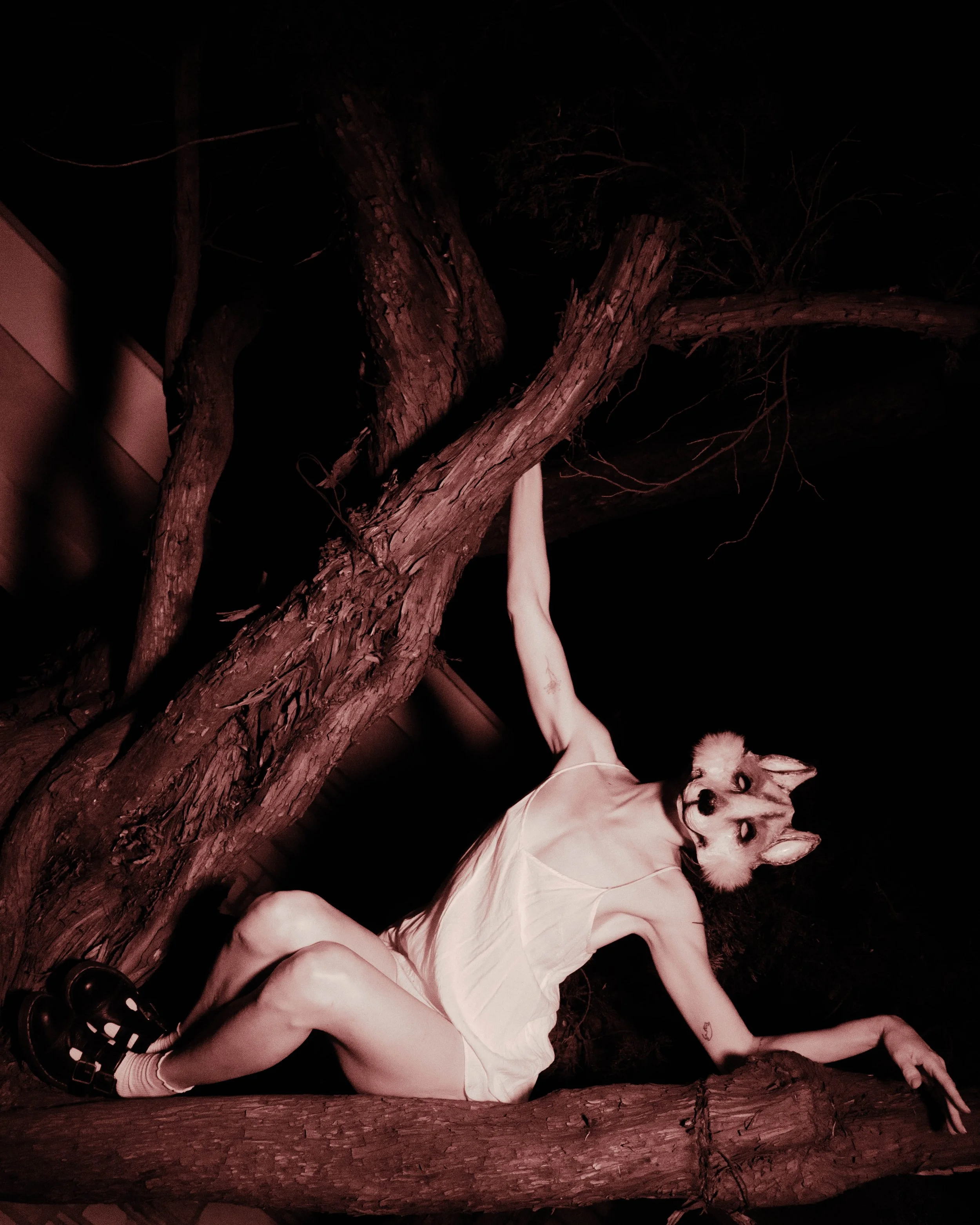 Lauren tree 40.jpg
